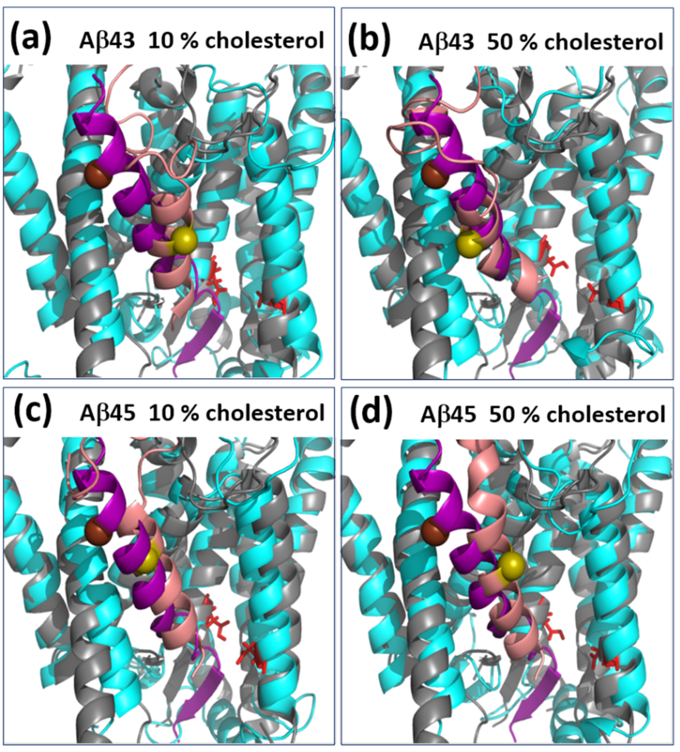 Biomolecules 11 00935 g010