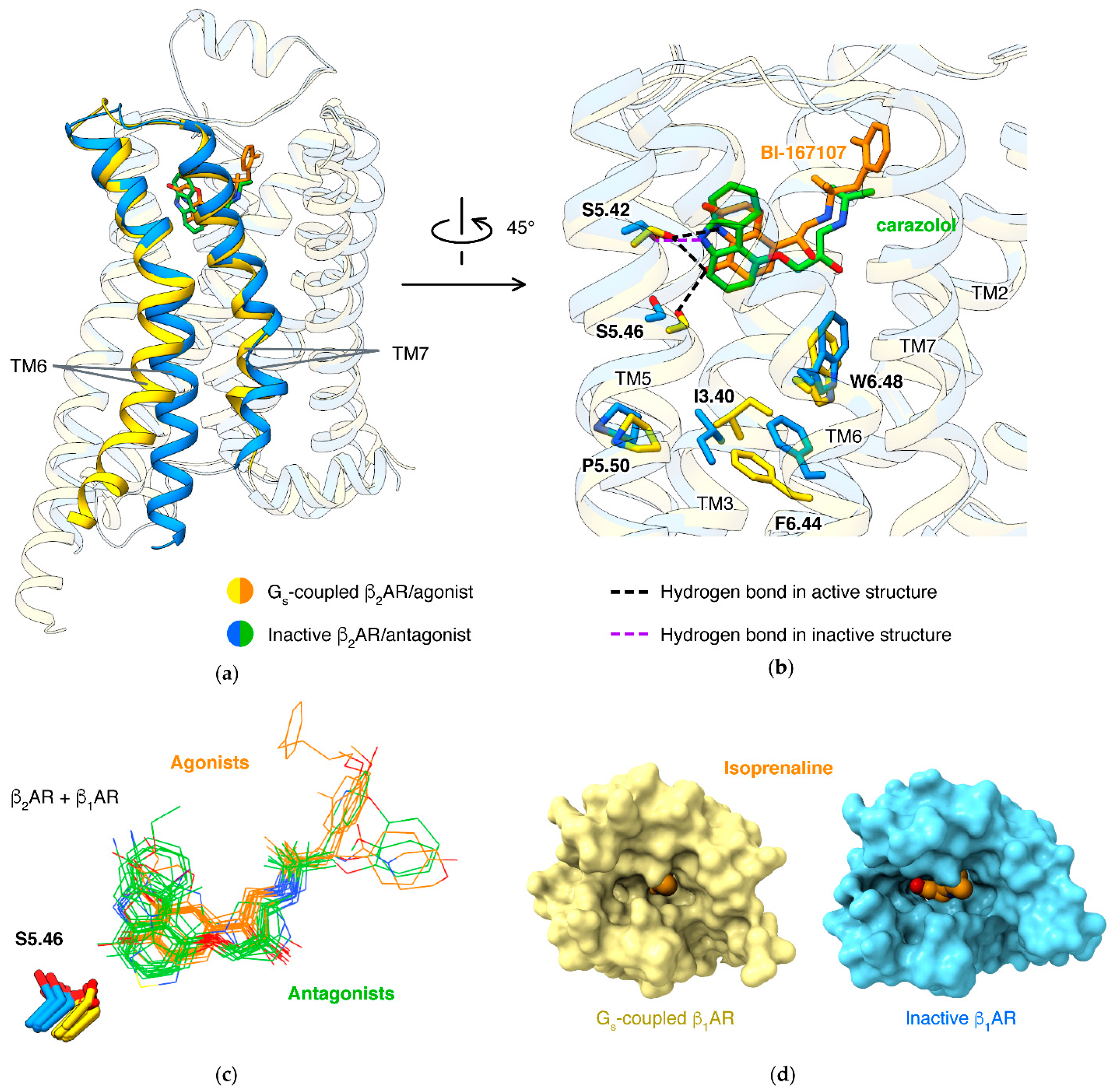 Biomolecules 11 00936 g004