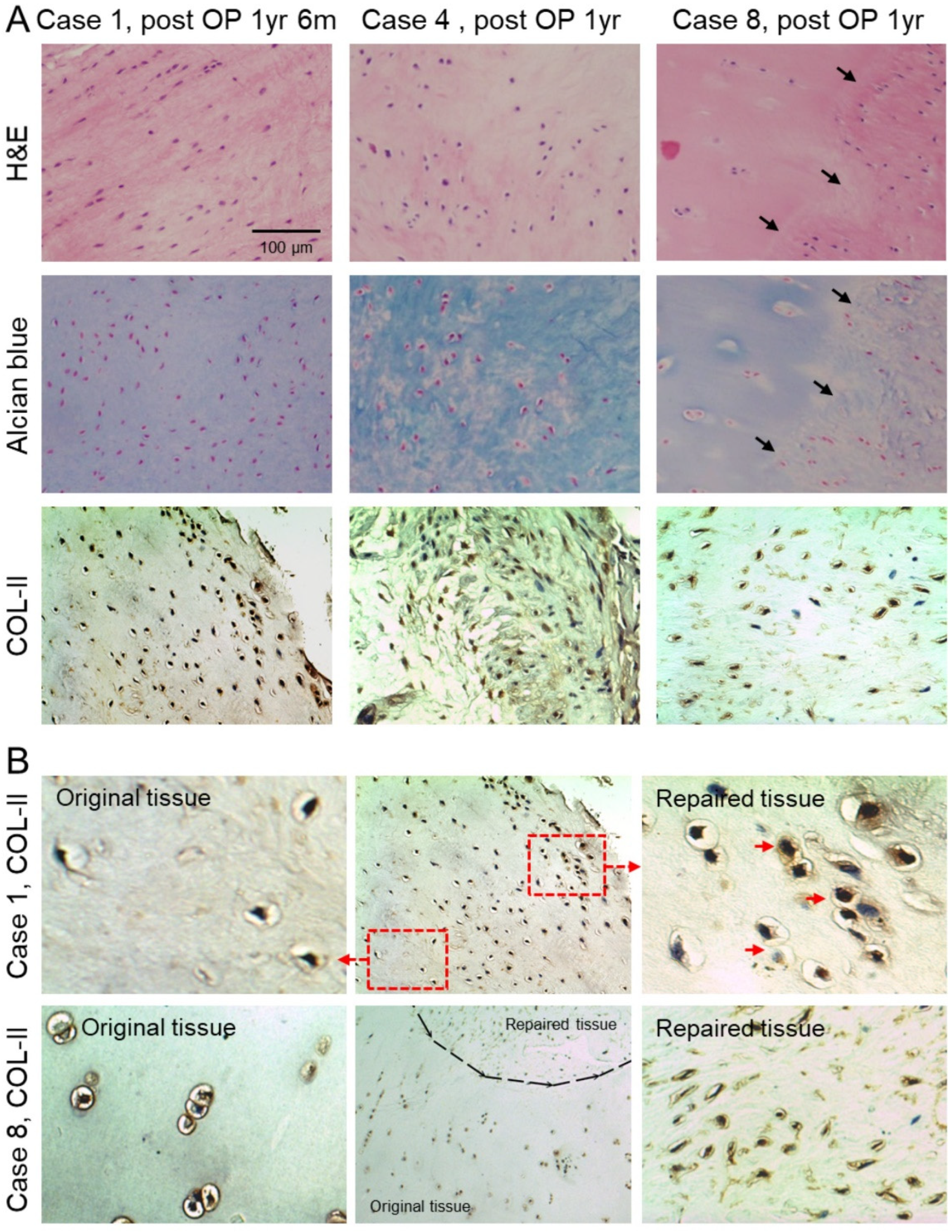 Biomolecules 11 00942 g005
