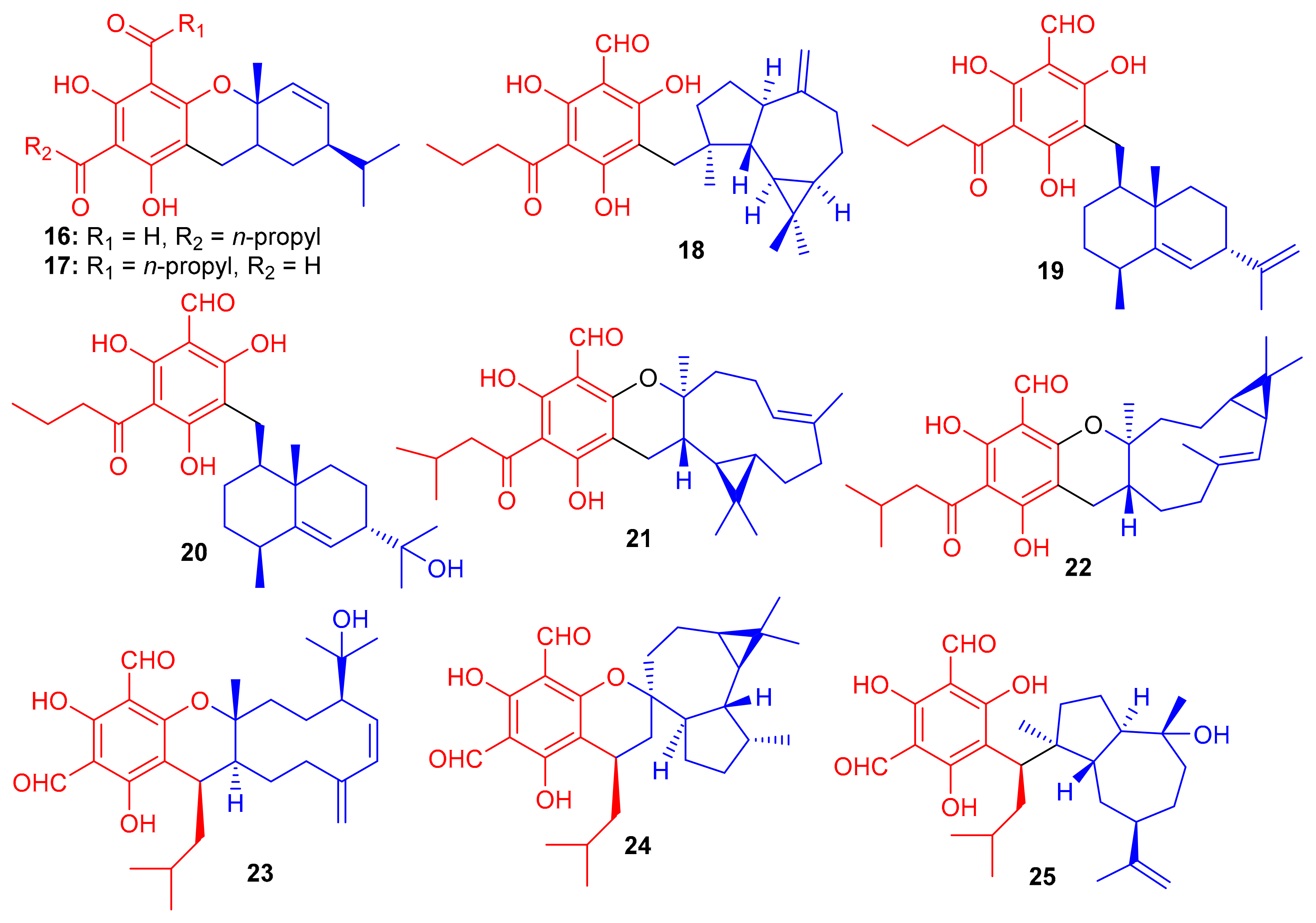 Biomolecules 11 00957 g003