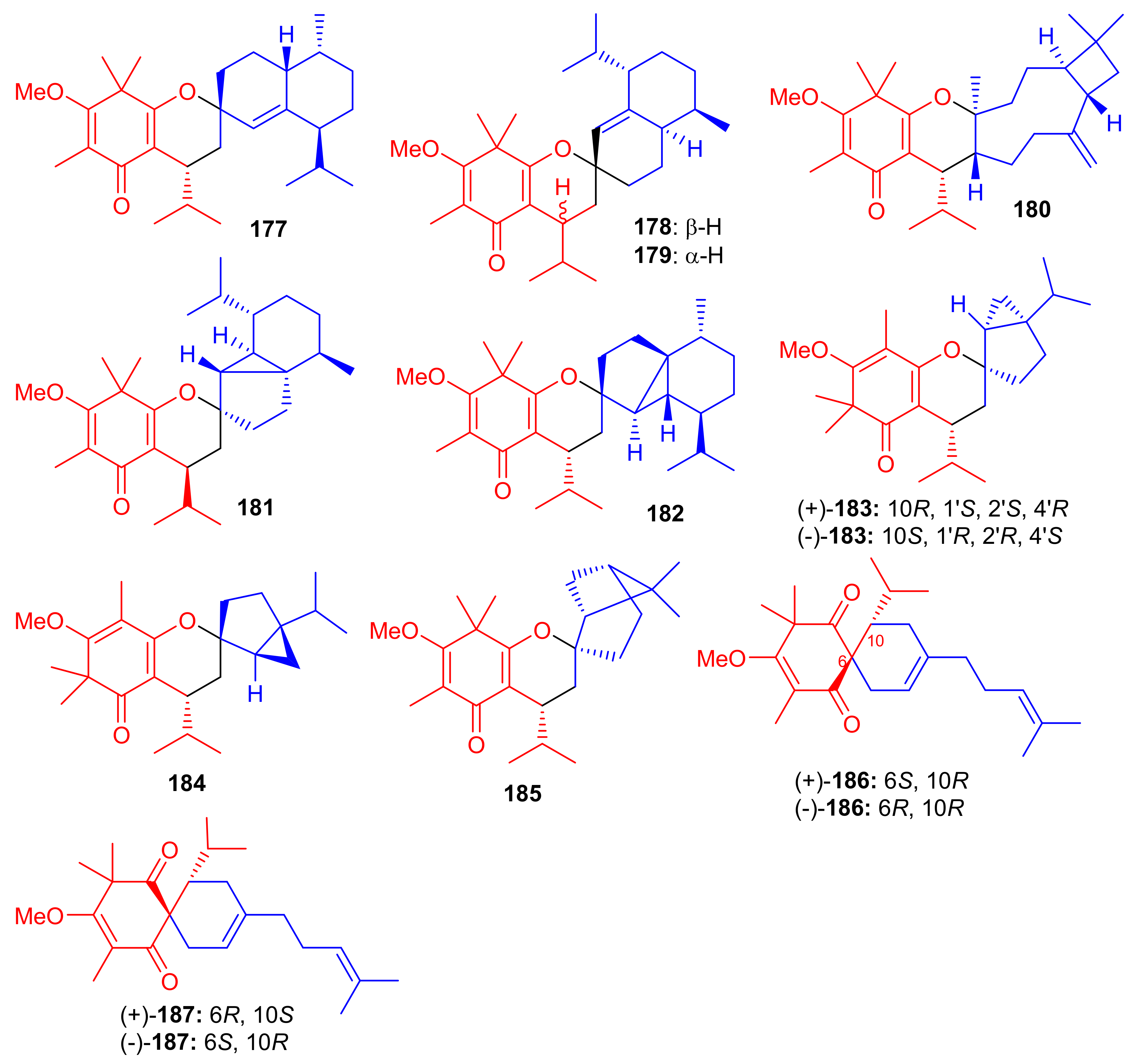 Biomolecules 11 00957 g020