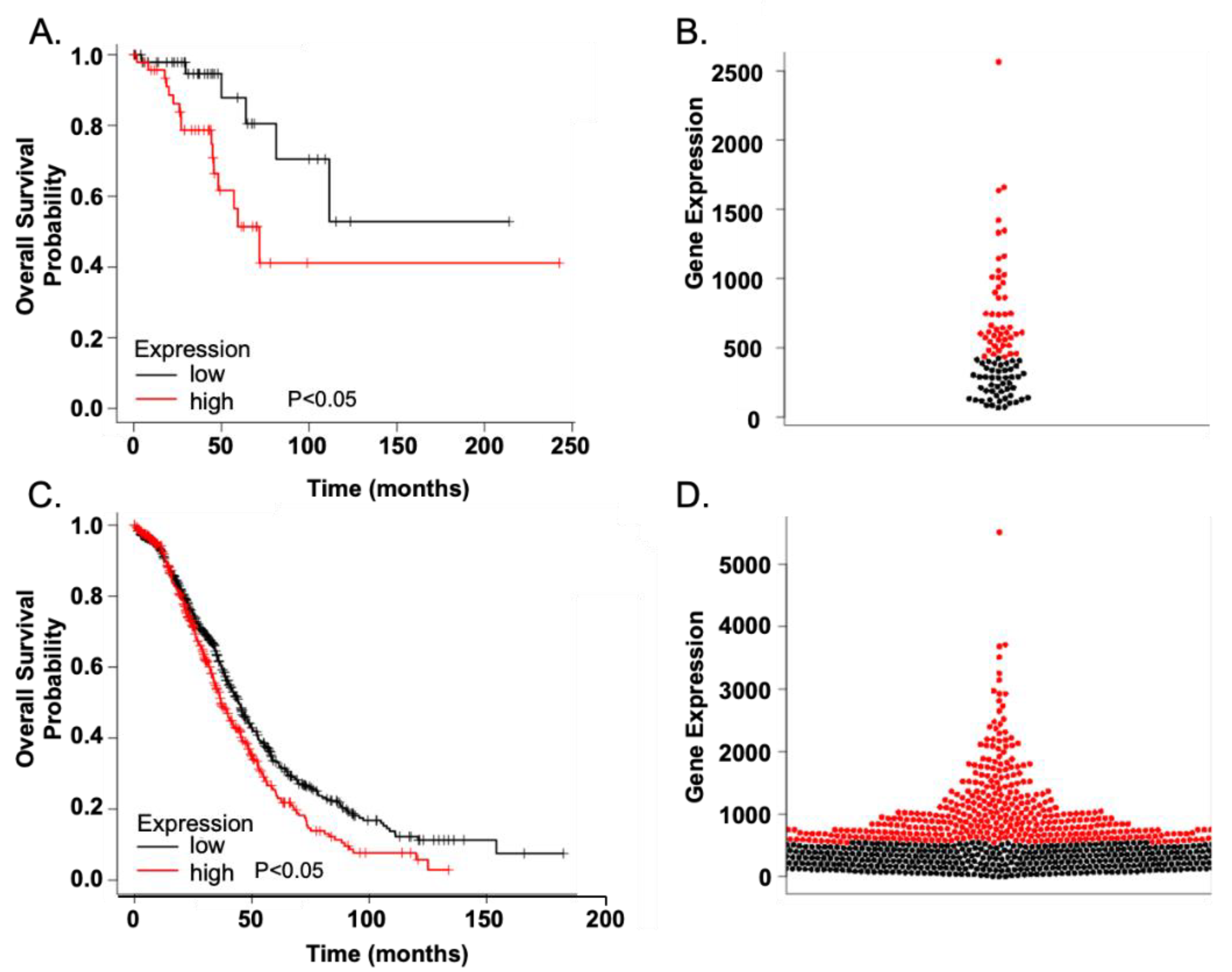 Biomolecules 11 00969 g002