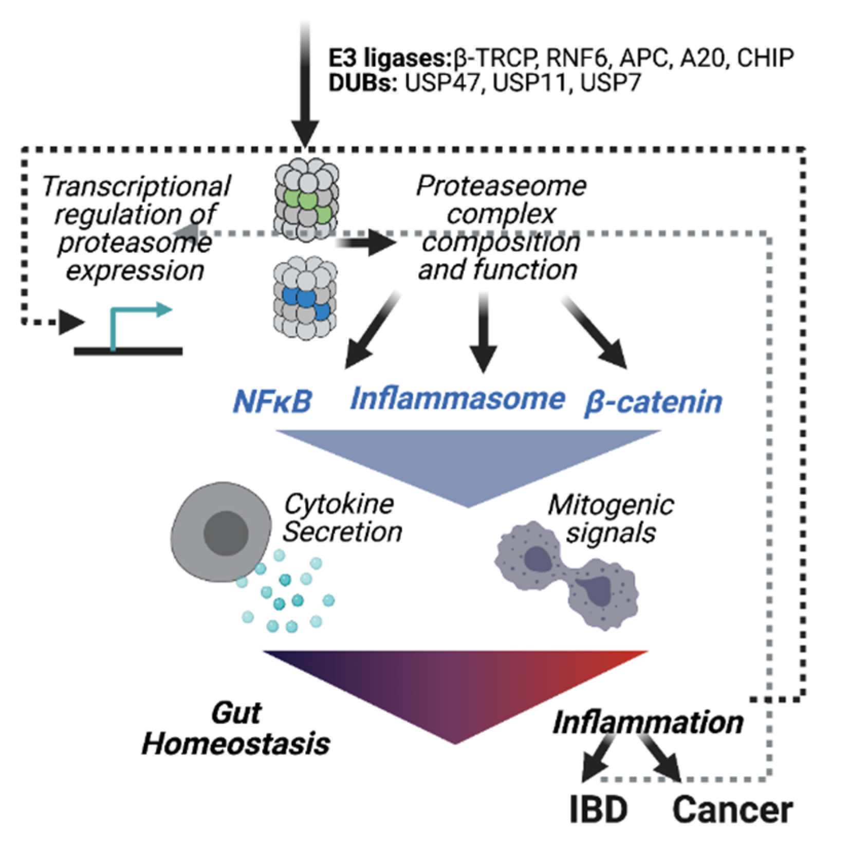Biomolecules 11 00989 g003 Biomolecules 11 00989 g003