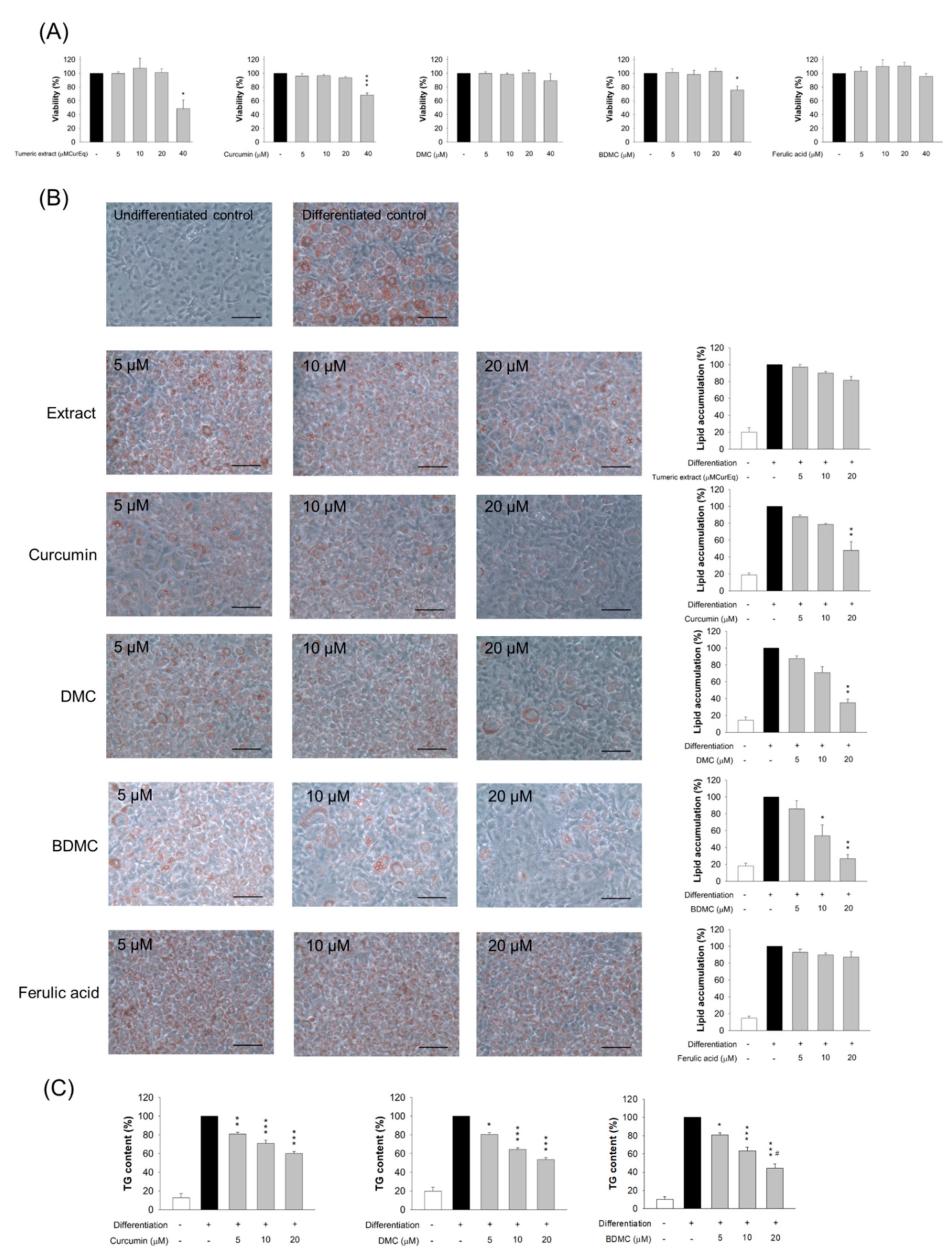 Biomolecules 11 01025 g003