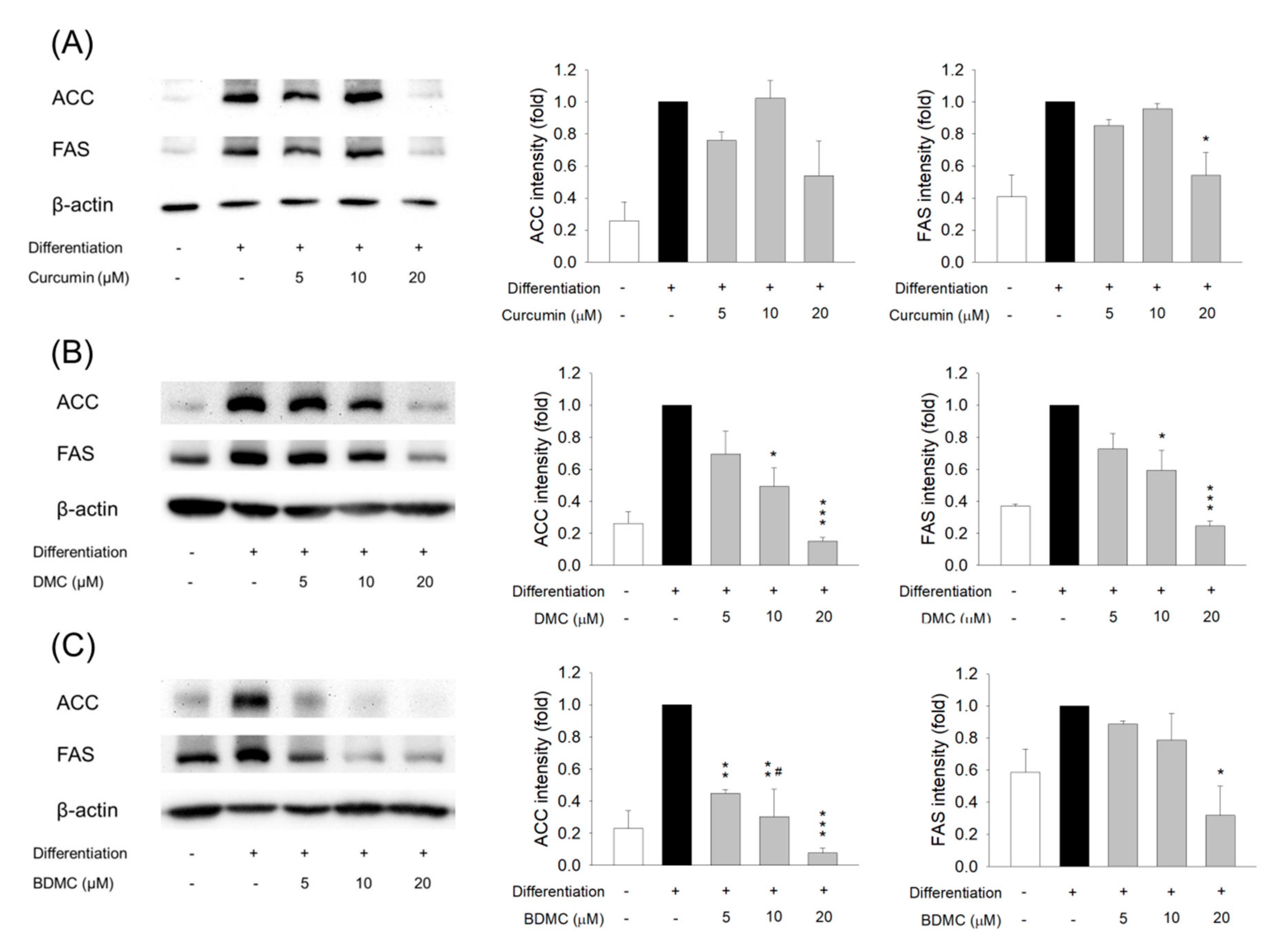 Biomolecules 11 01025 g005