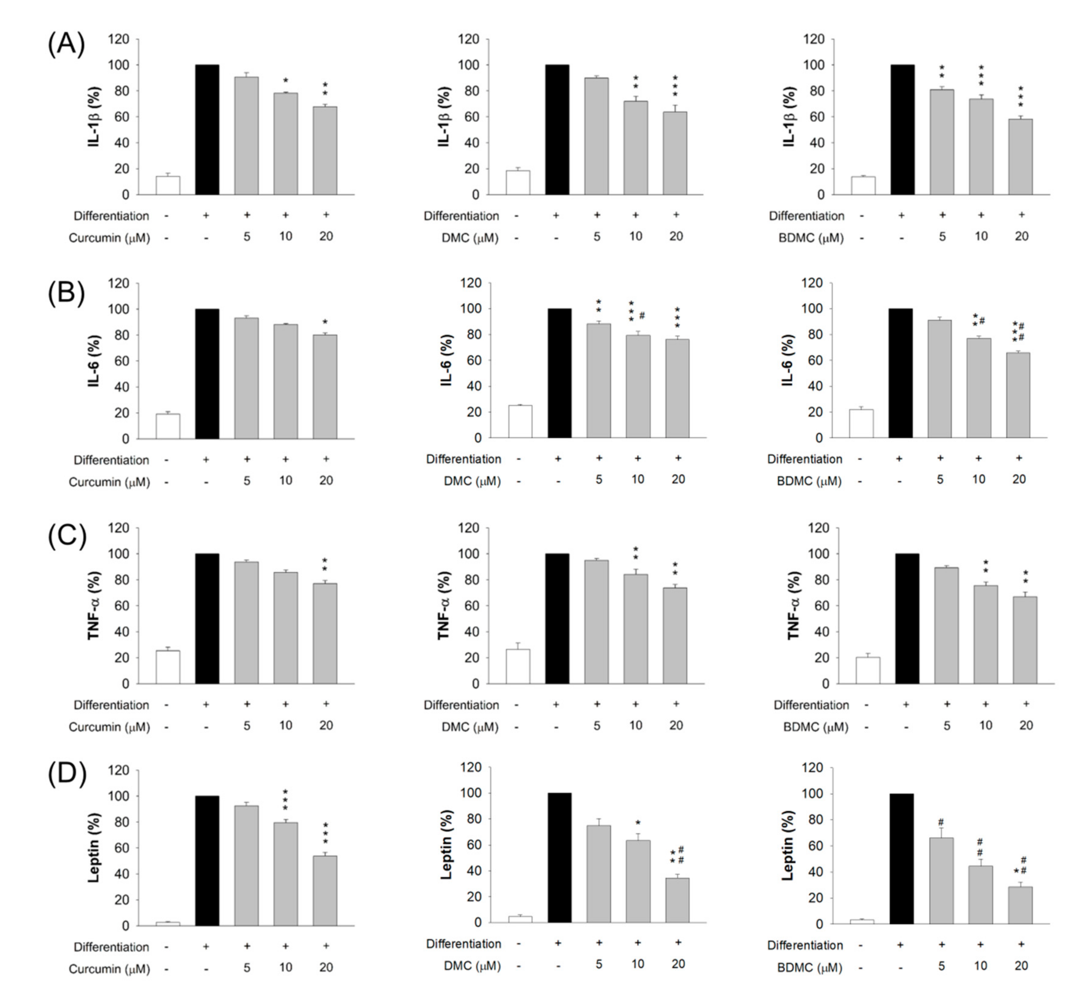Biomolecules 11 01025 g006
