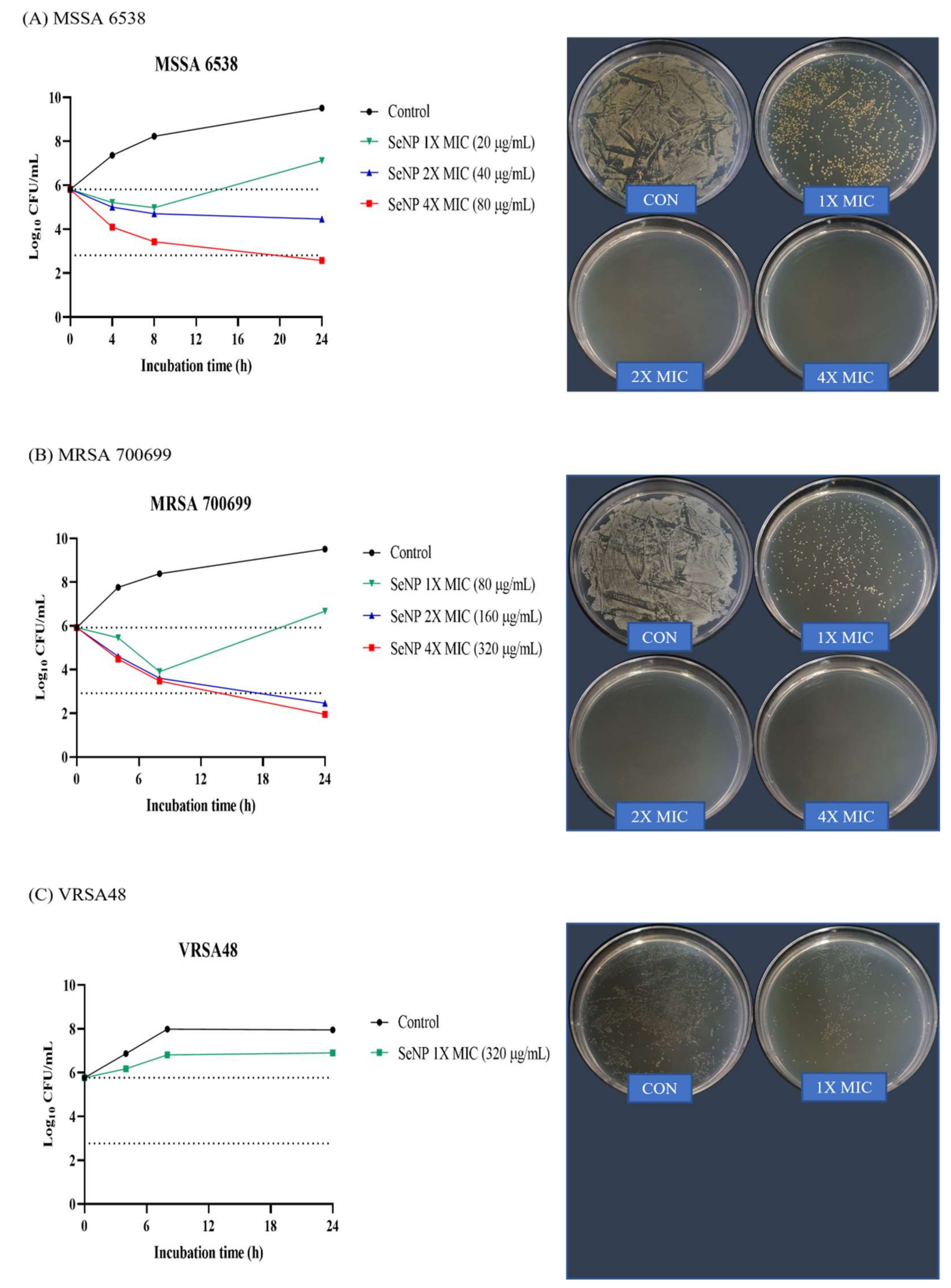 Biomolecules 11 01028 g003