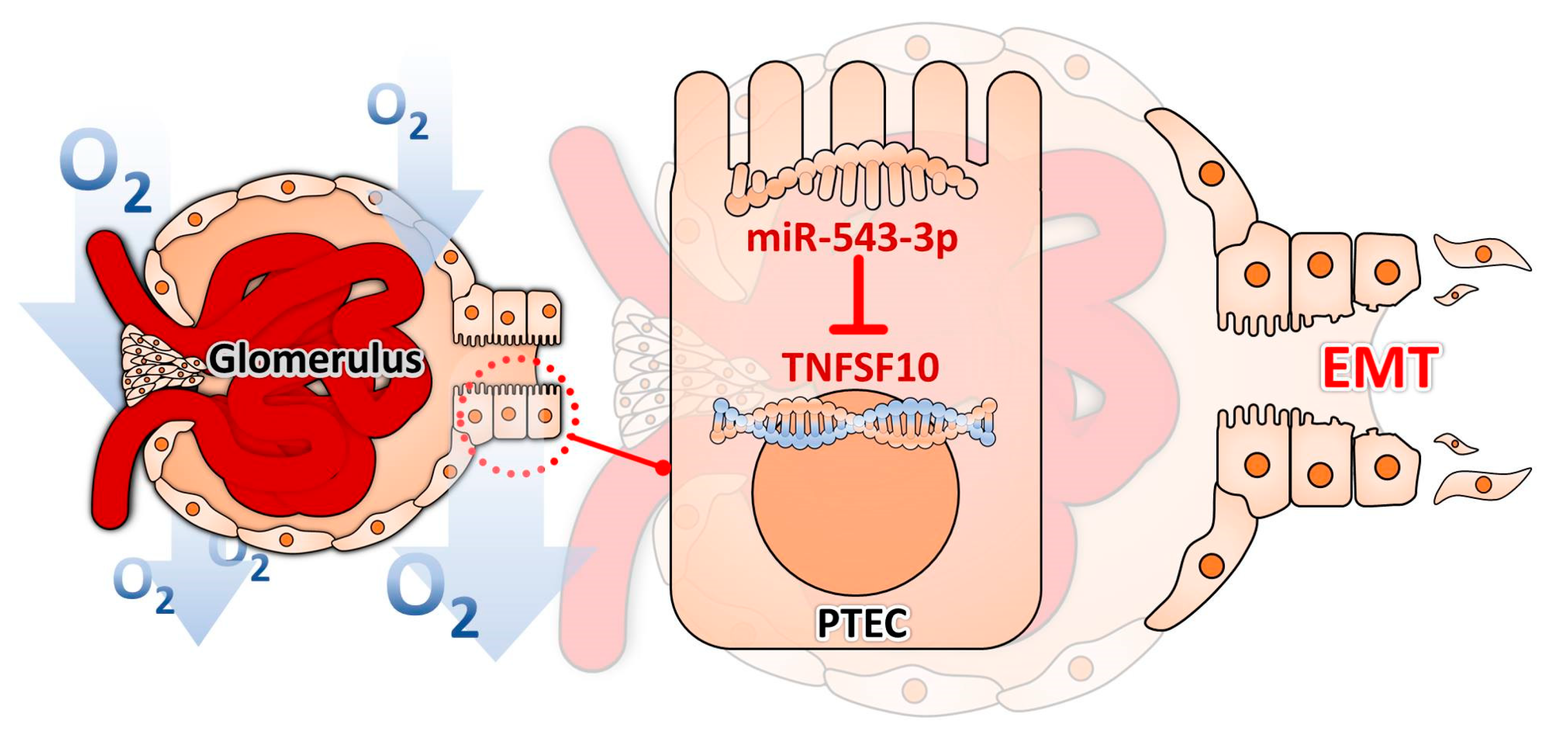 Biomolecules 11 01032 g005
