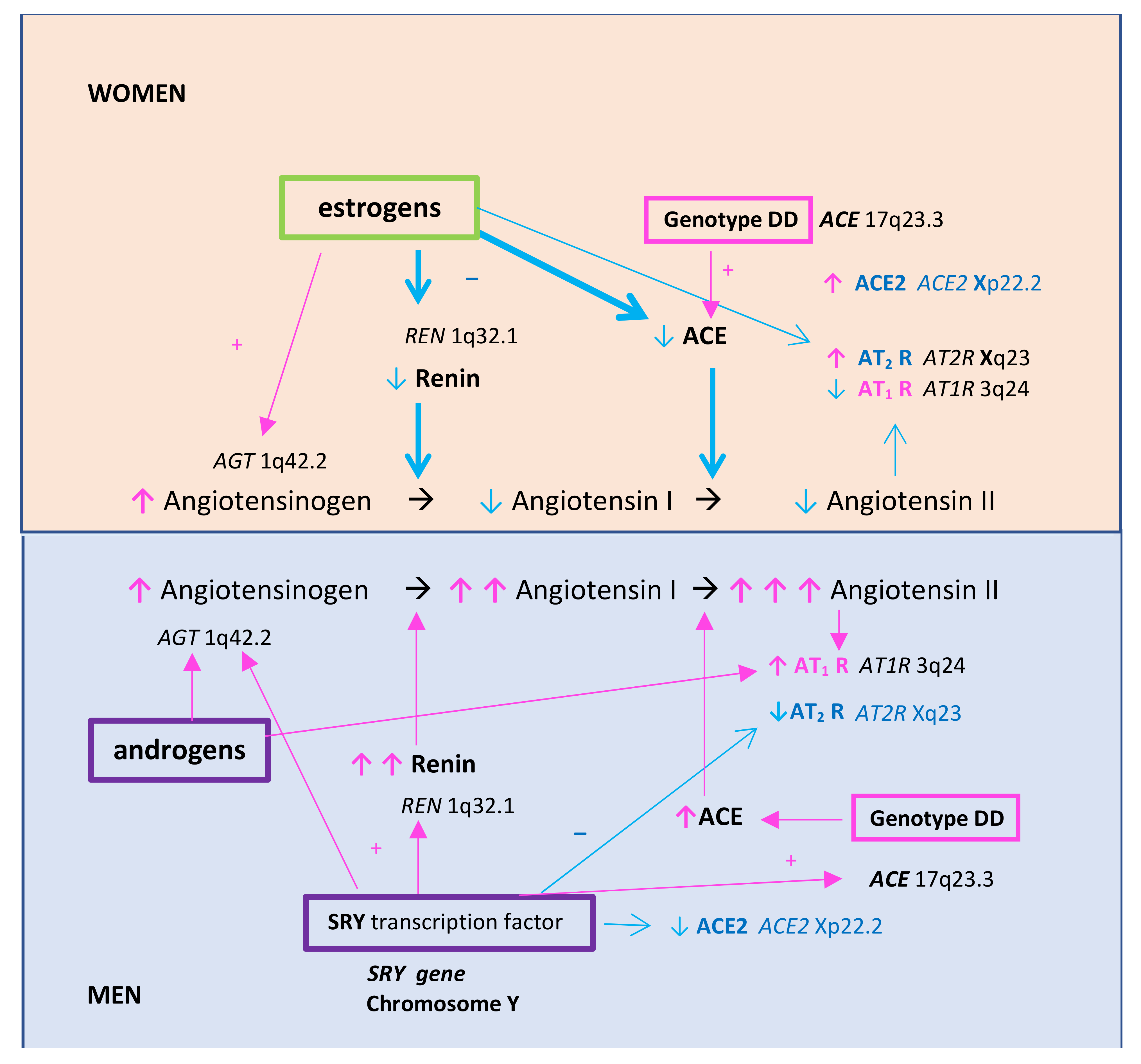 Biomolecules 11 01036 g002