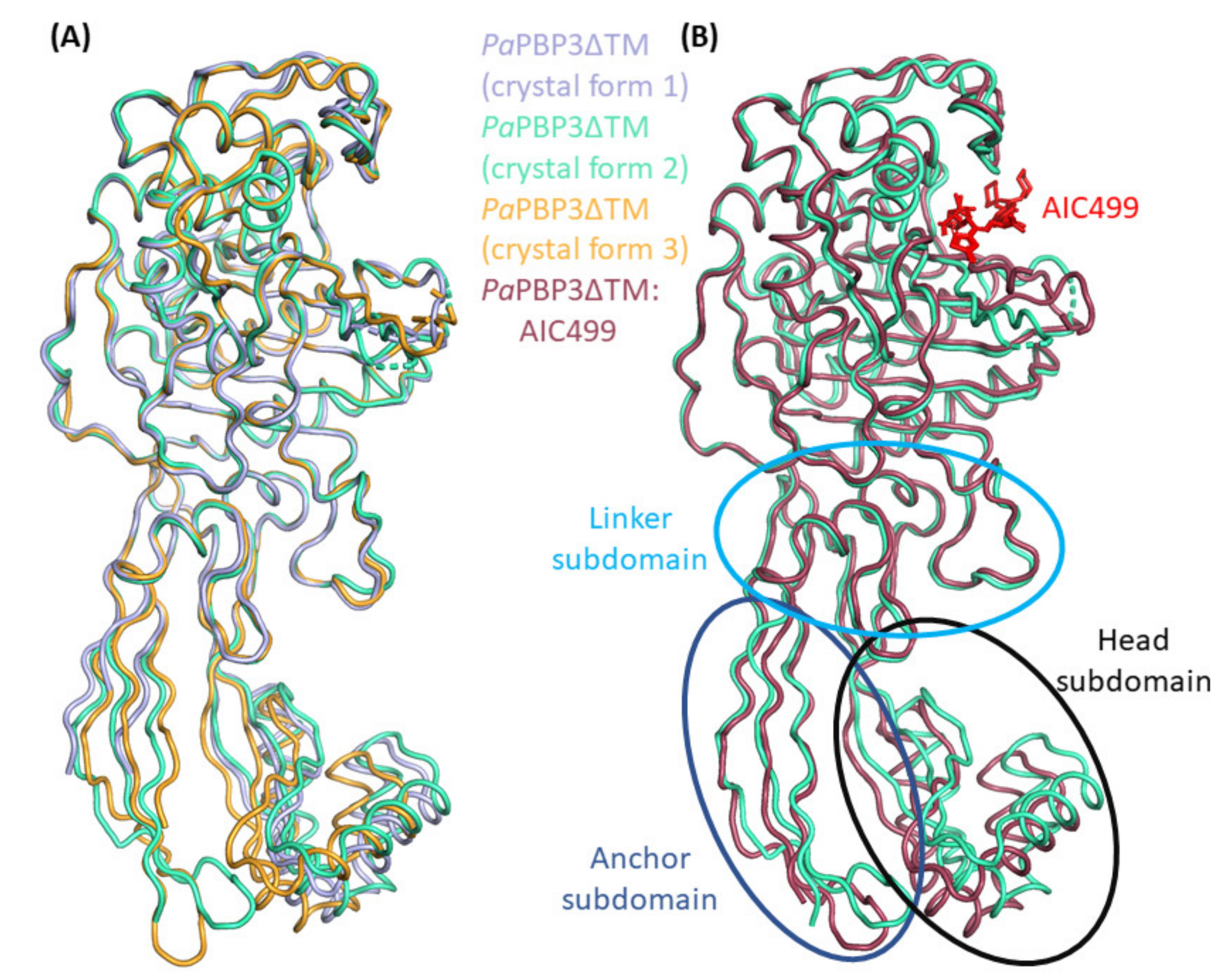 Biomolecules 11 01057 g005