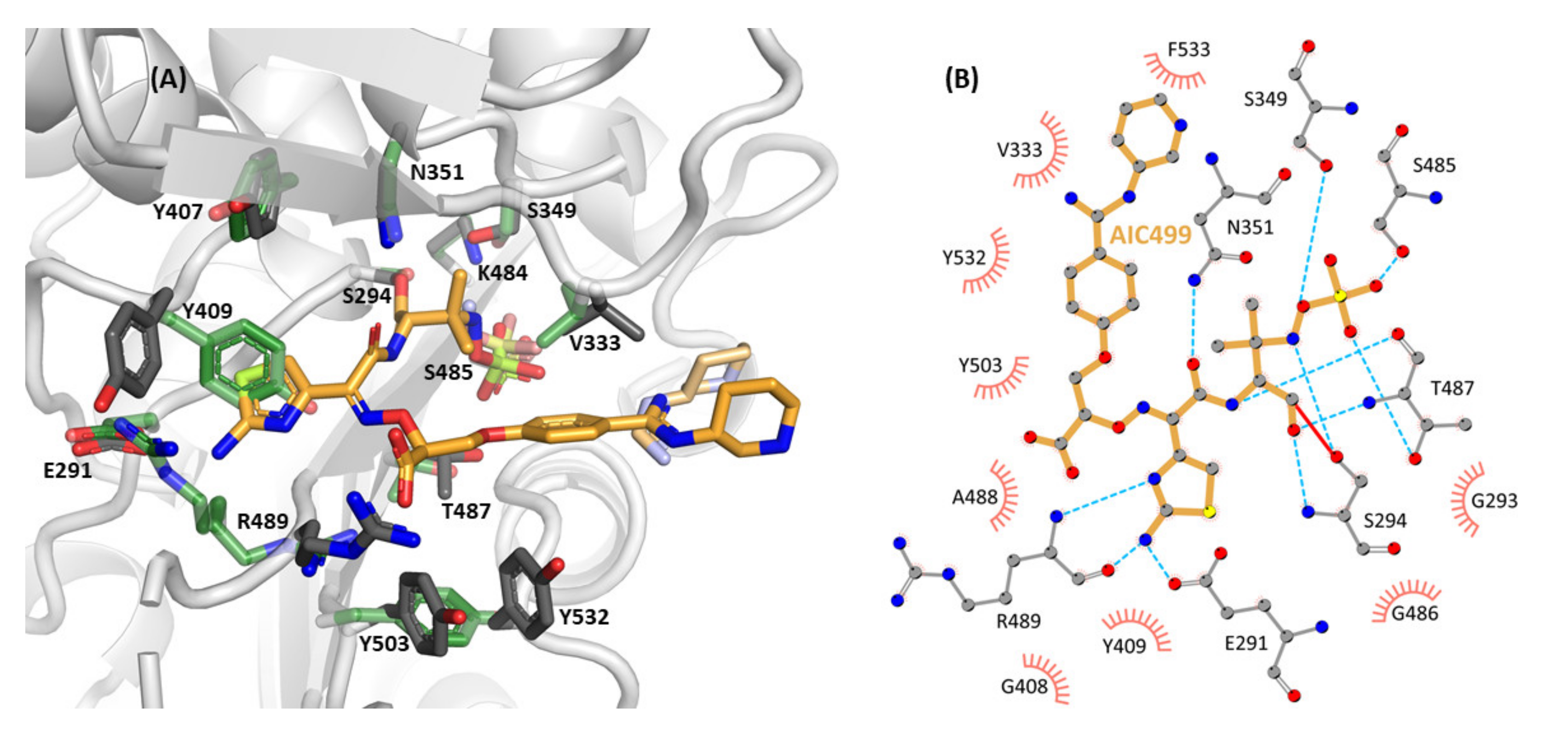 Biomolecules 11 01057 g006
