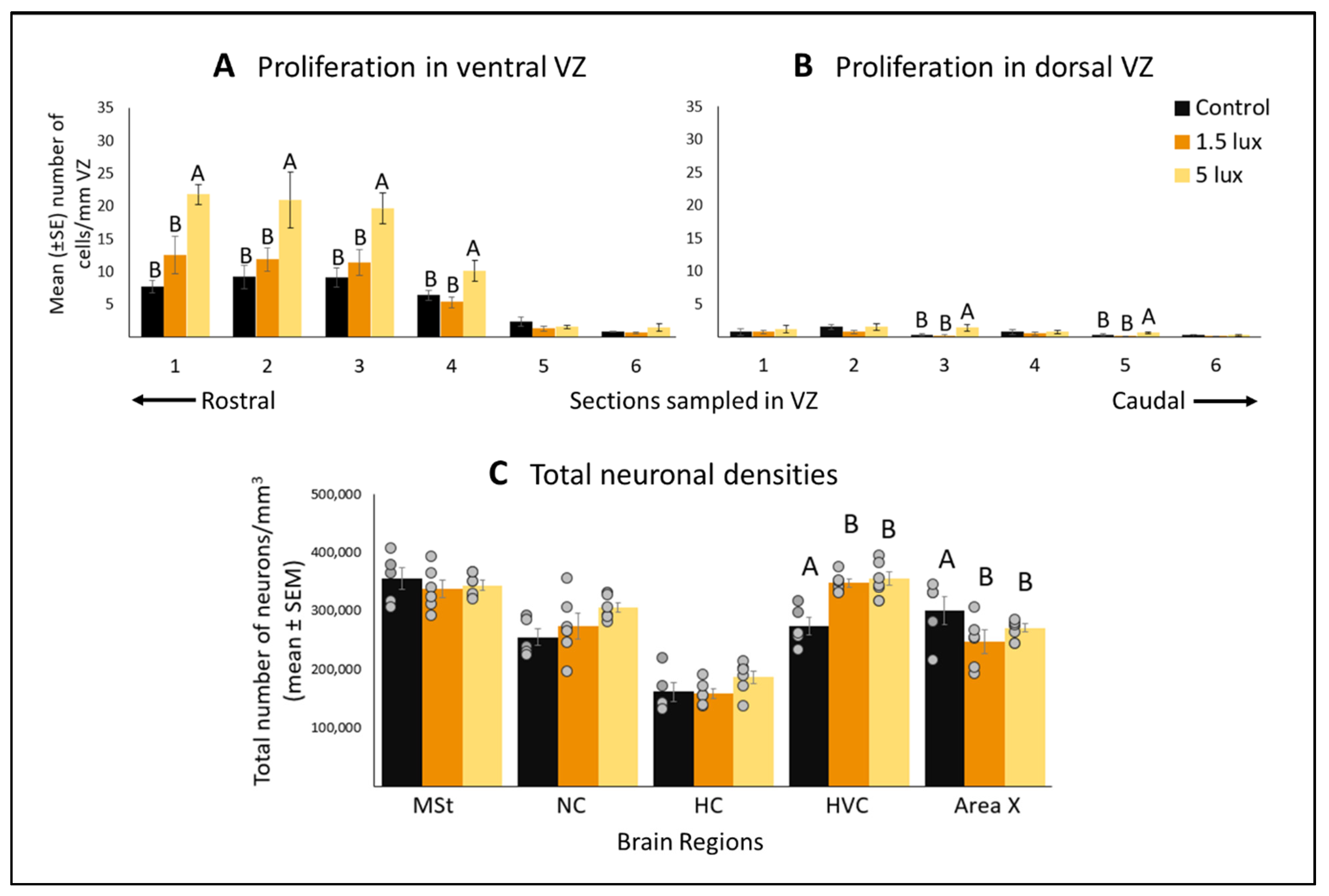 Biomolecules 11 01069 g006 Biomolecules 11 01069 g006