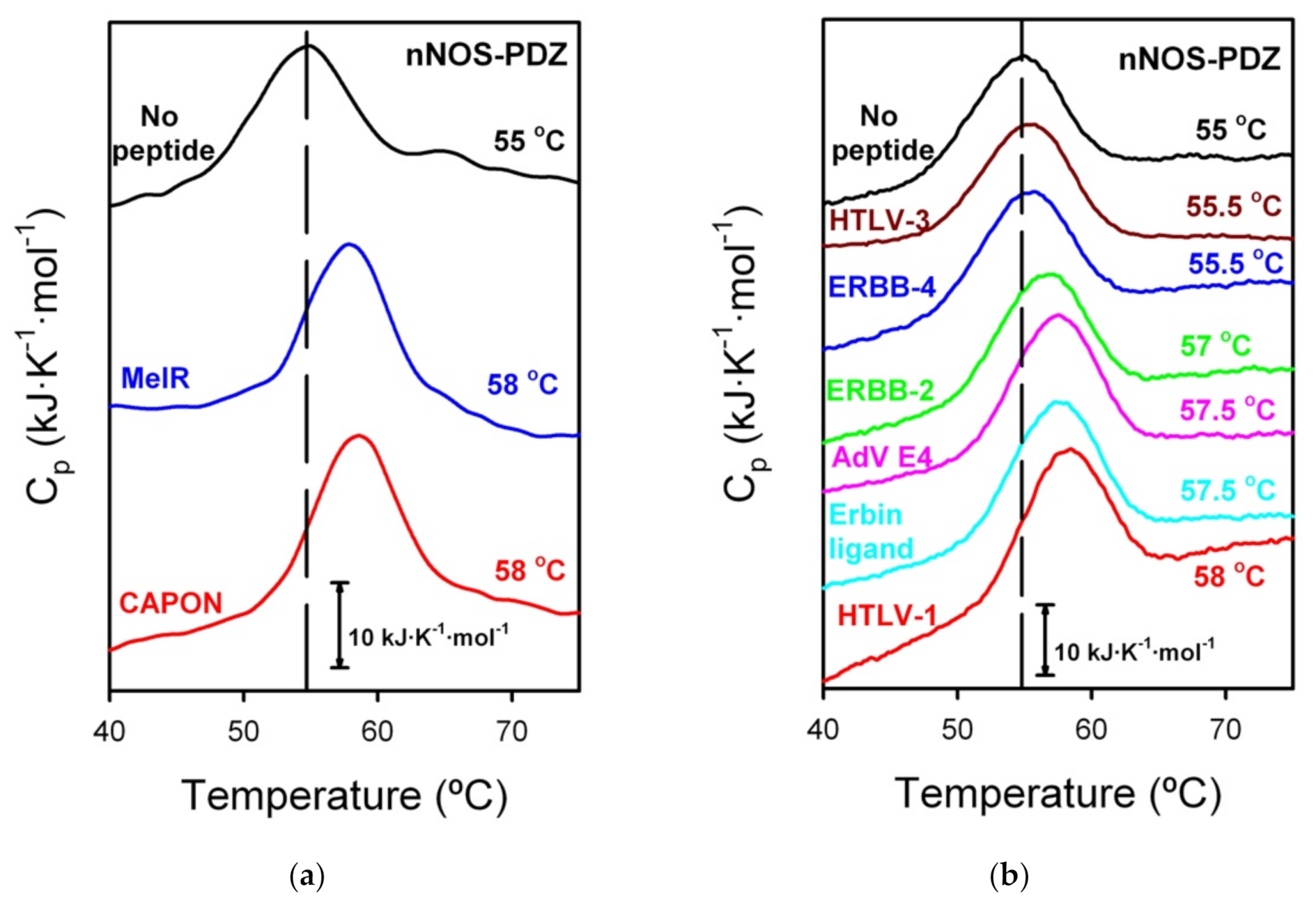 Biomolecules 11 01071 g003