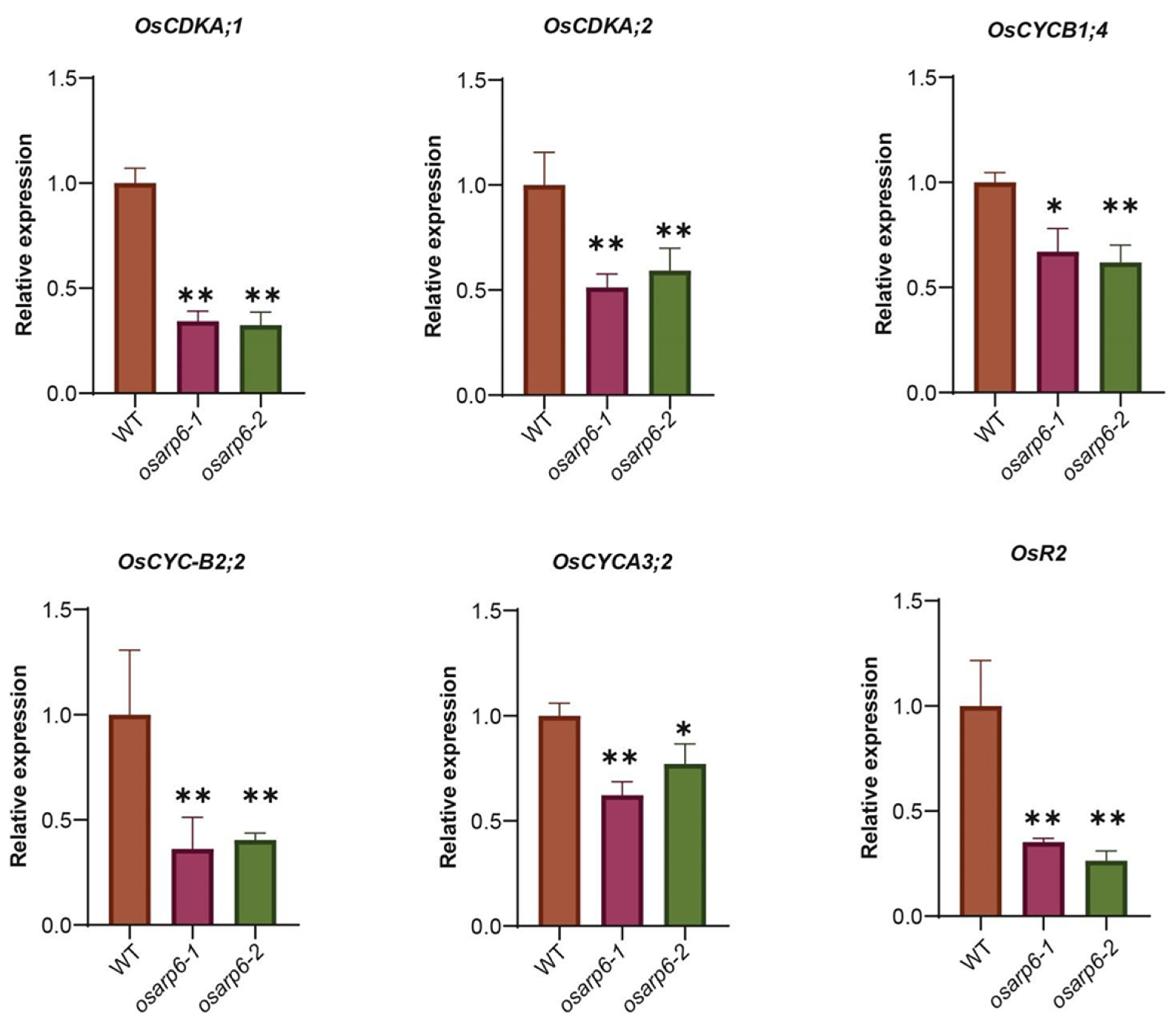Biomolecules 11 01100 g004