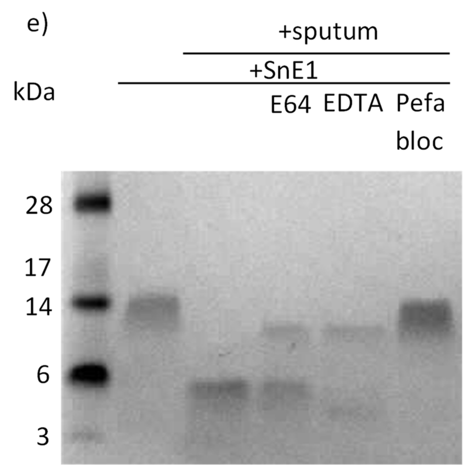 Biomolecules 11 01106 g002b