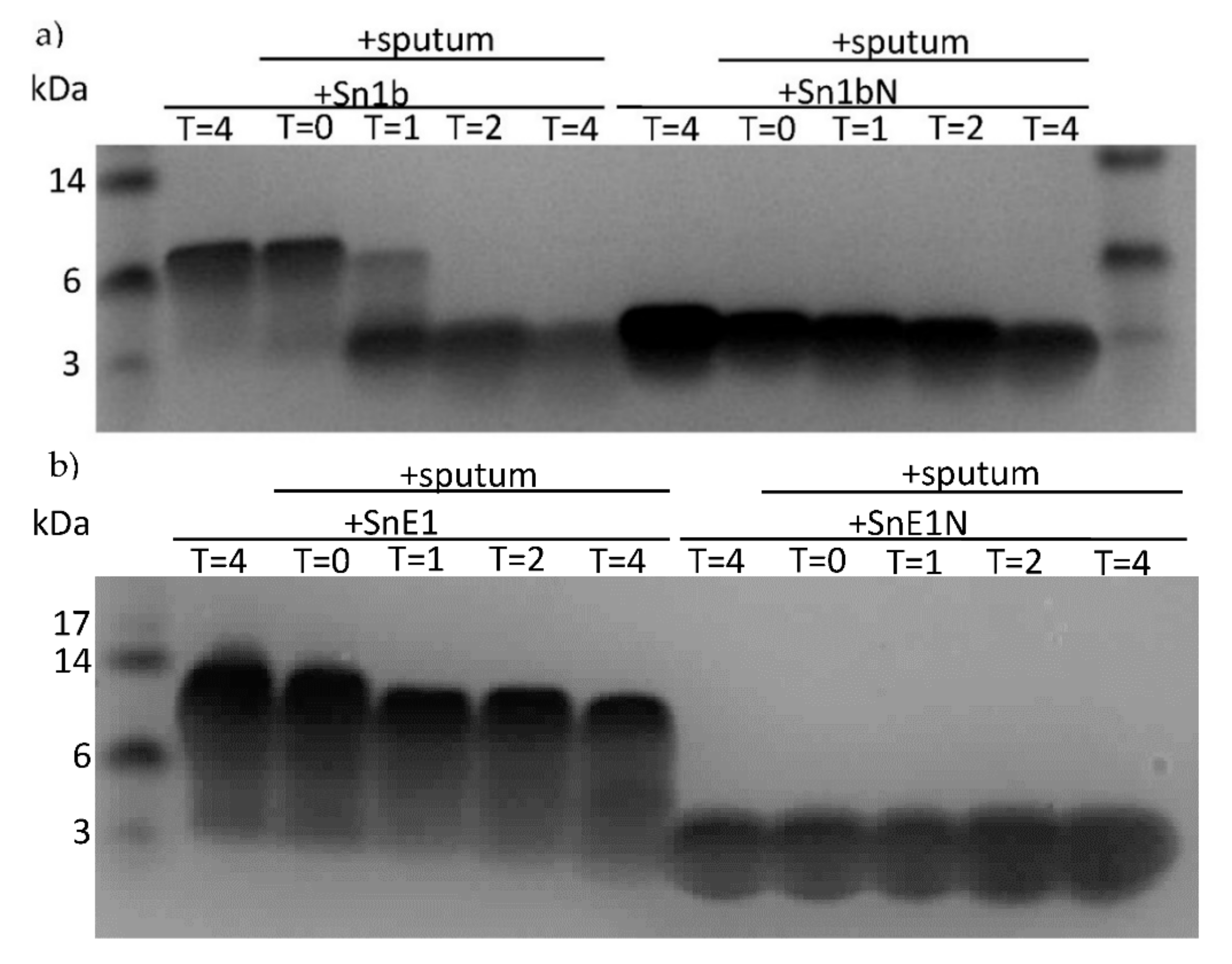 Biomolecules 11 01106 g006a