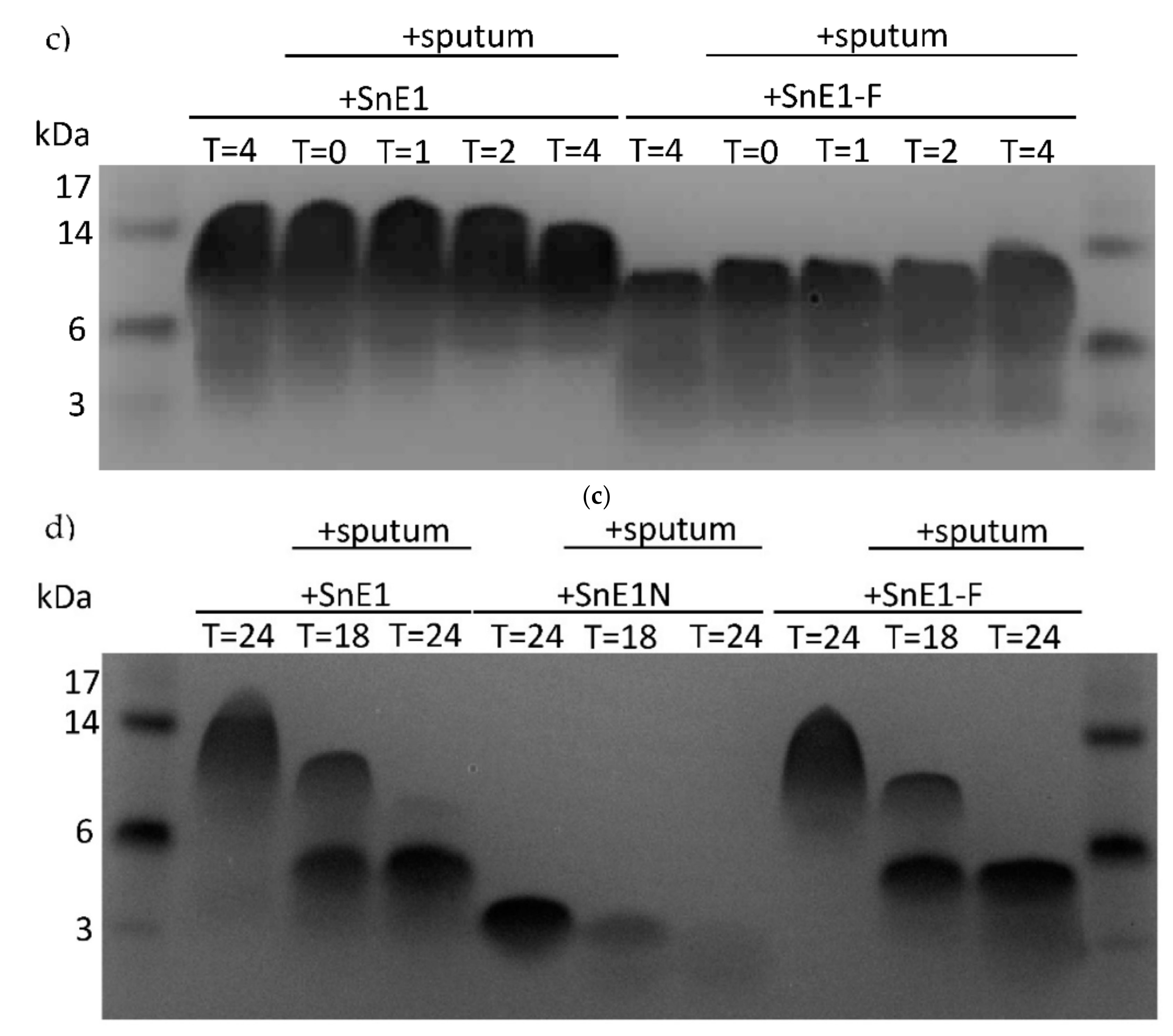 Biomolecules 11 01106 g006b