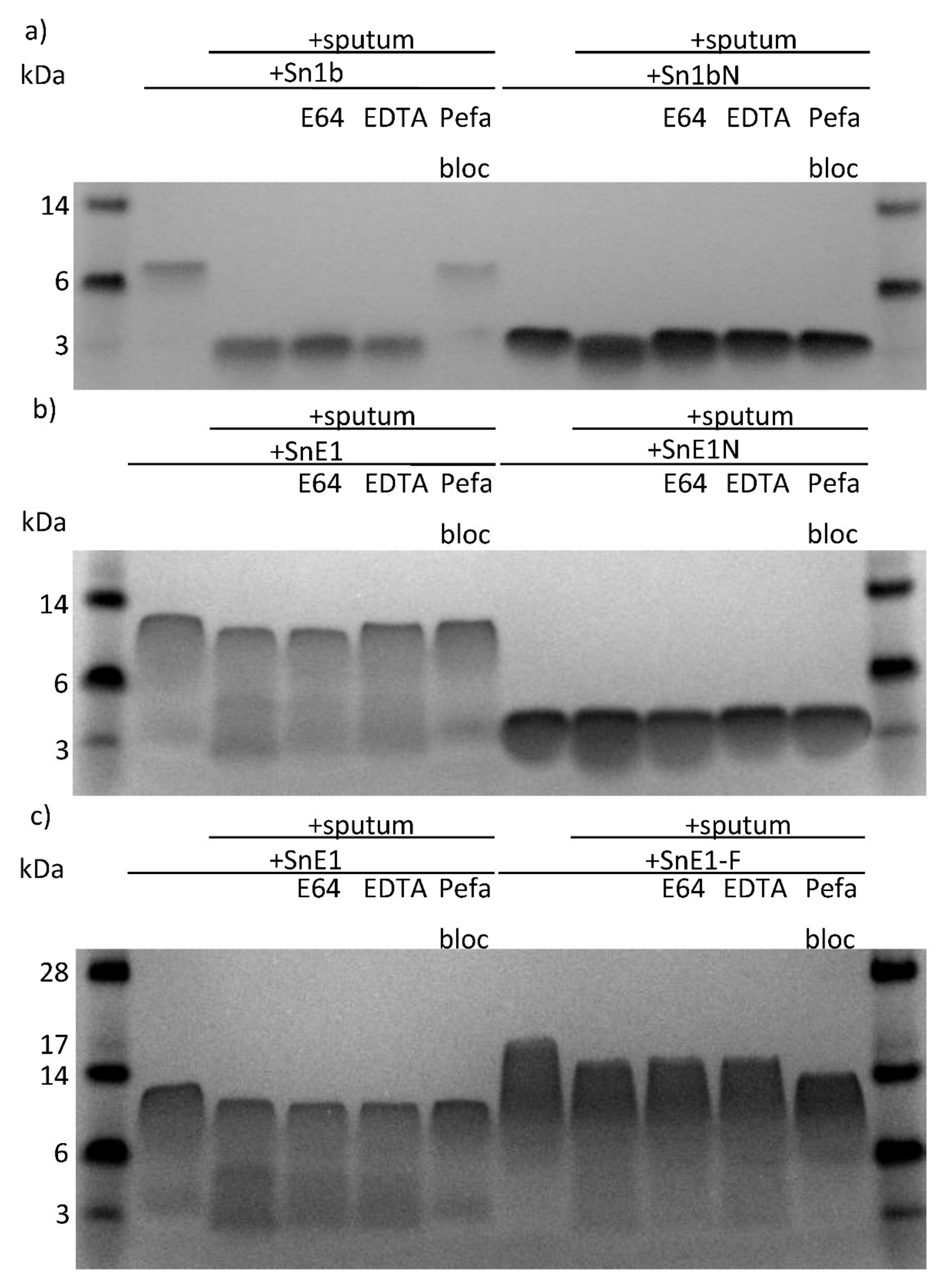 Biomolecules 11 01106 g007a