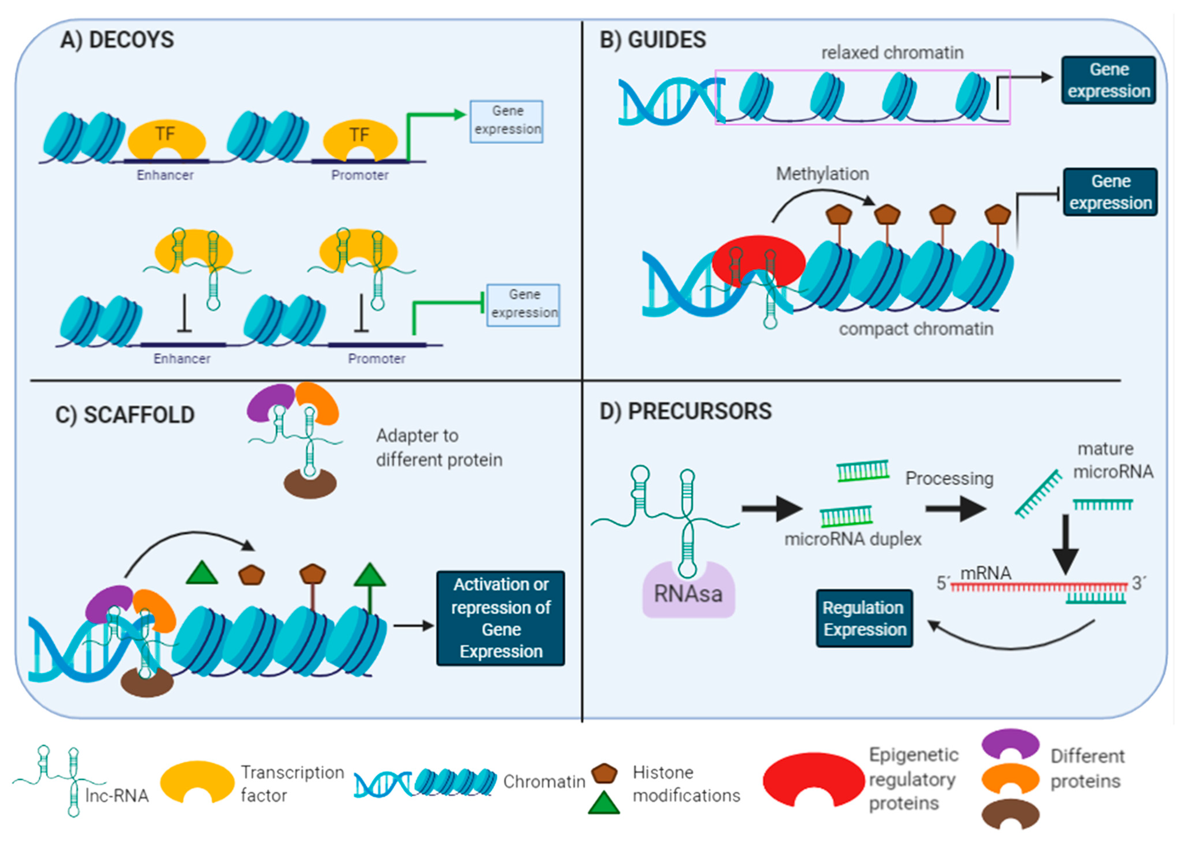 Biomolecules 11 01132 g002