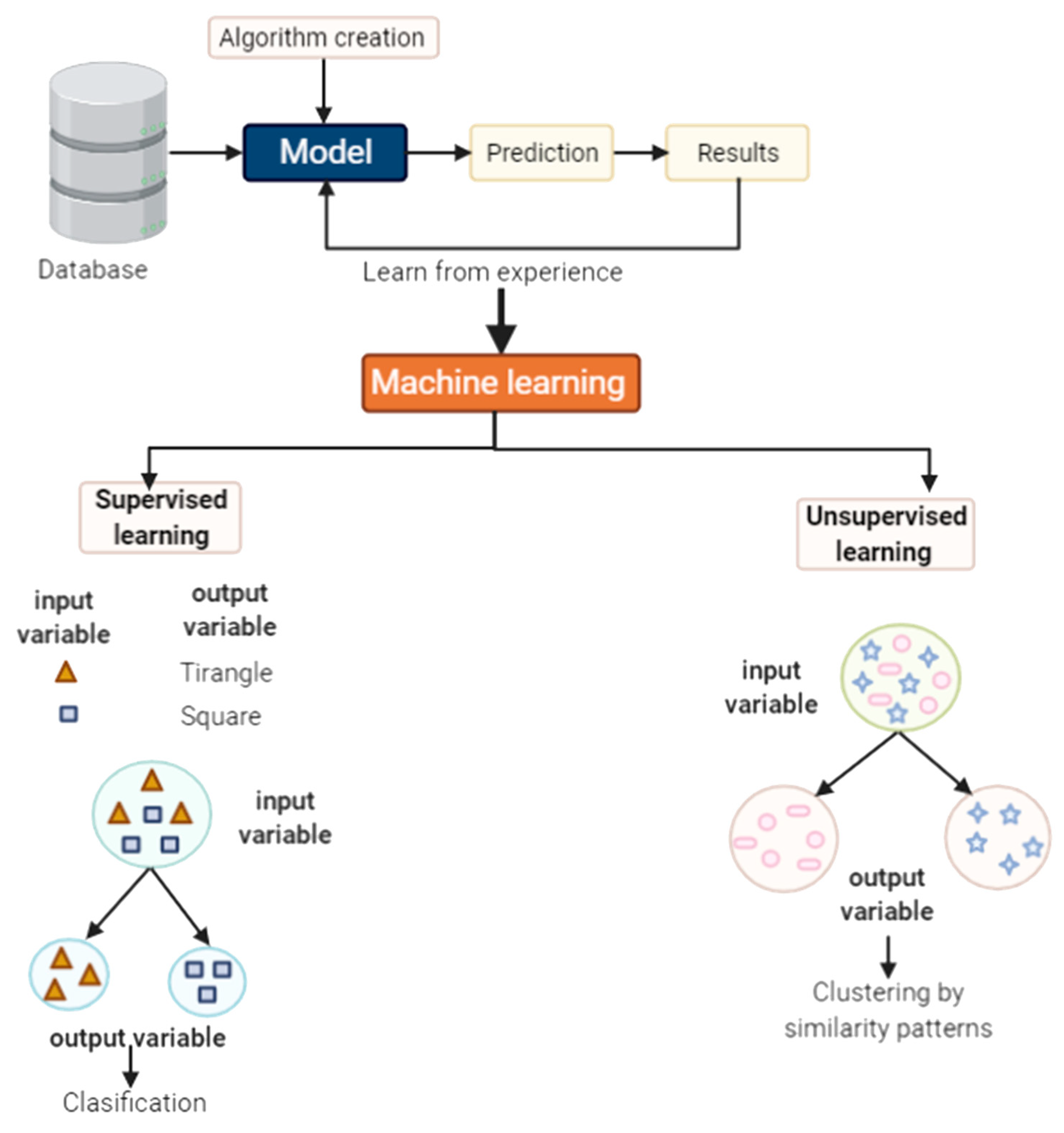Biomolecules 11 01132 g003
