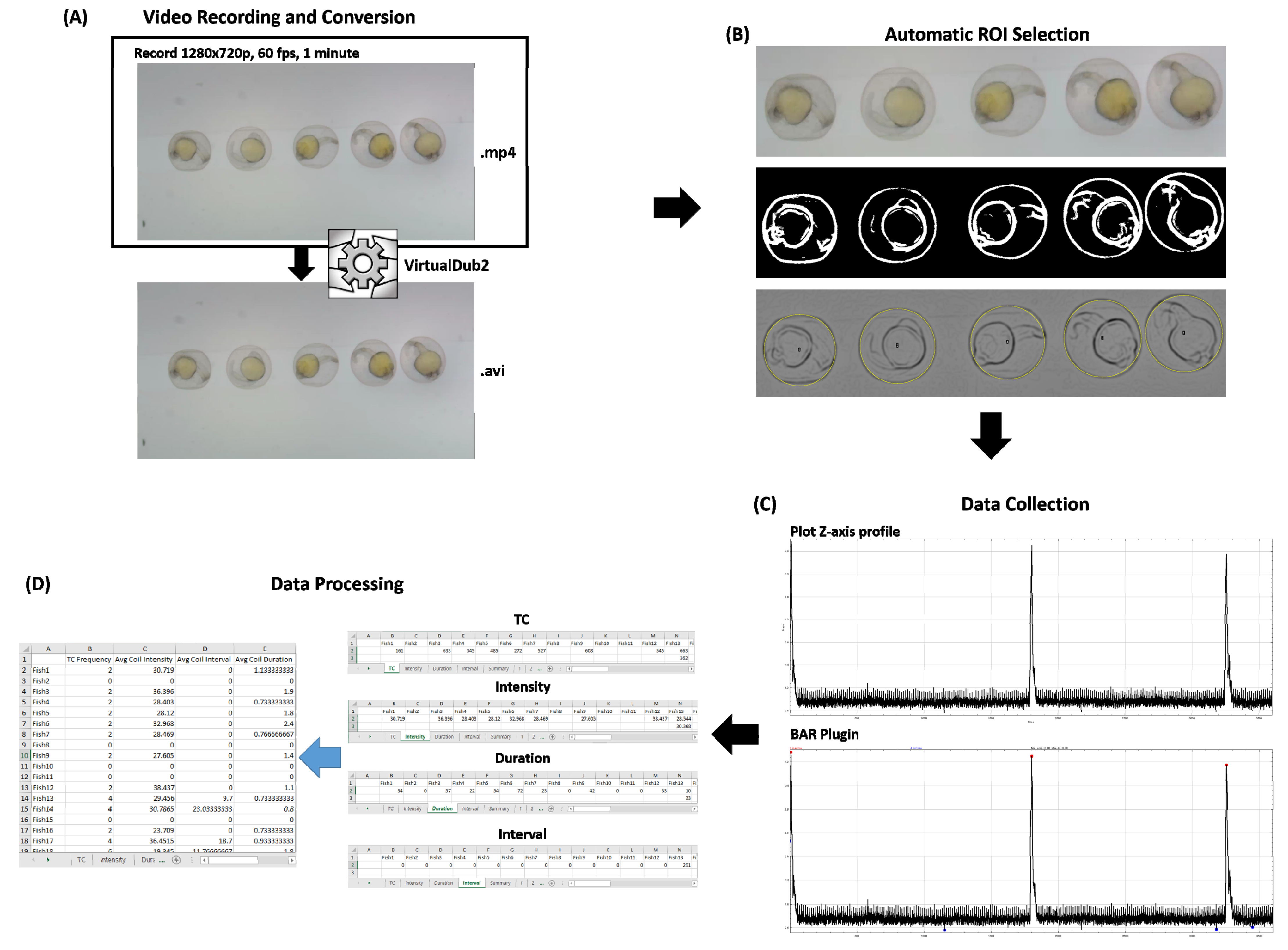 Biomolecules | Free Full-Text | TCMacro: A Simple and Robust ImageJ-Based  Method for Automated Measurement of Tail Coiling Activity in Zebrafish
