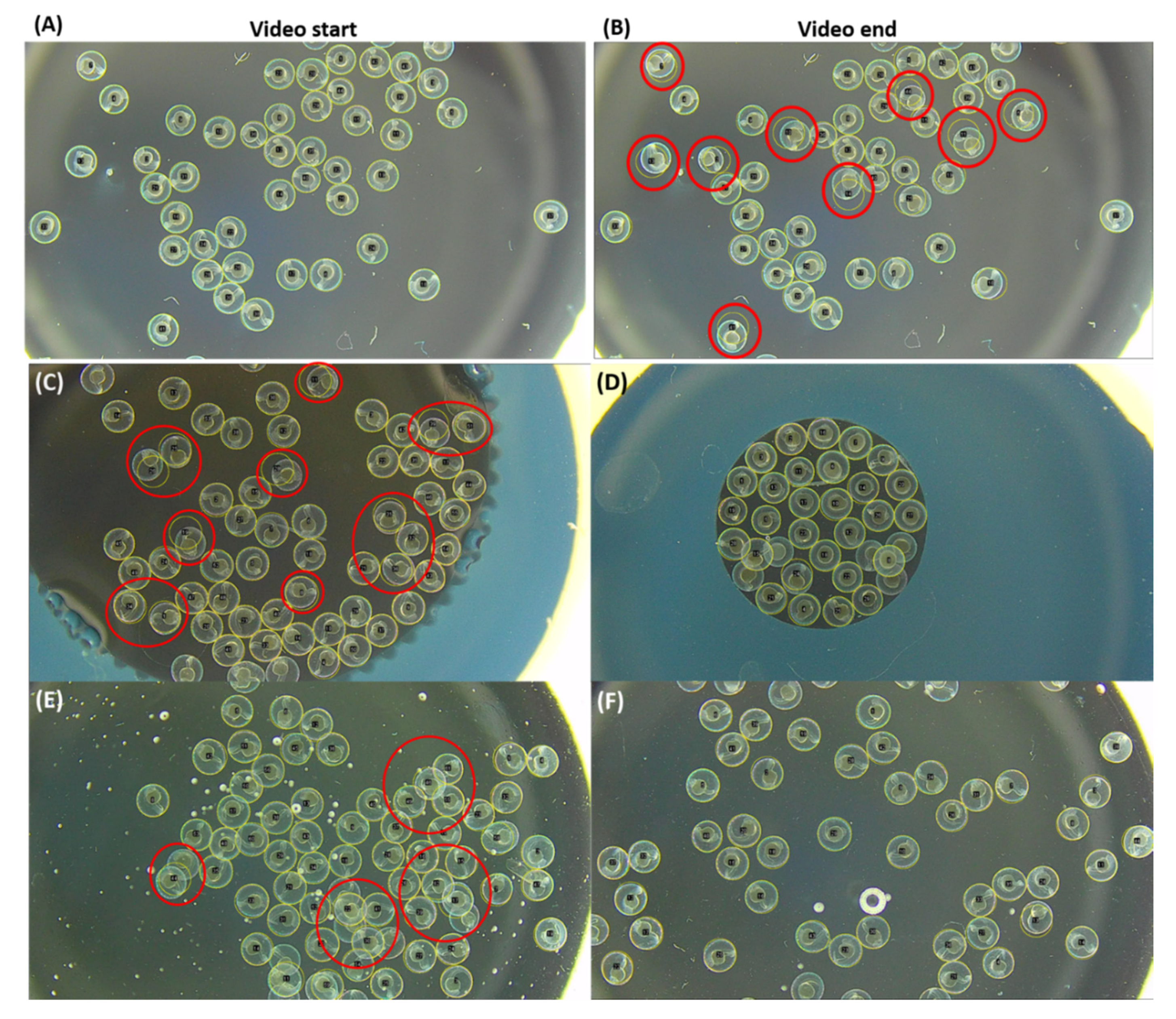 Biomolecules 11 01133 g003