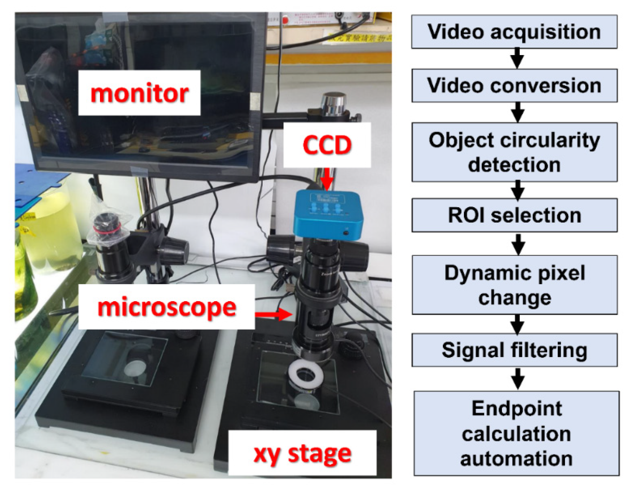 Biomolecules 11 01133 g0a1