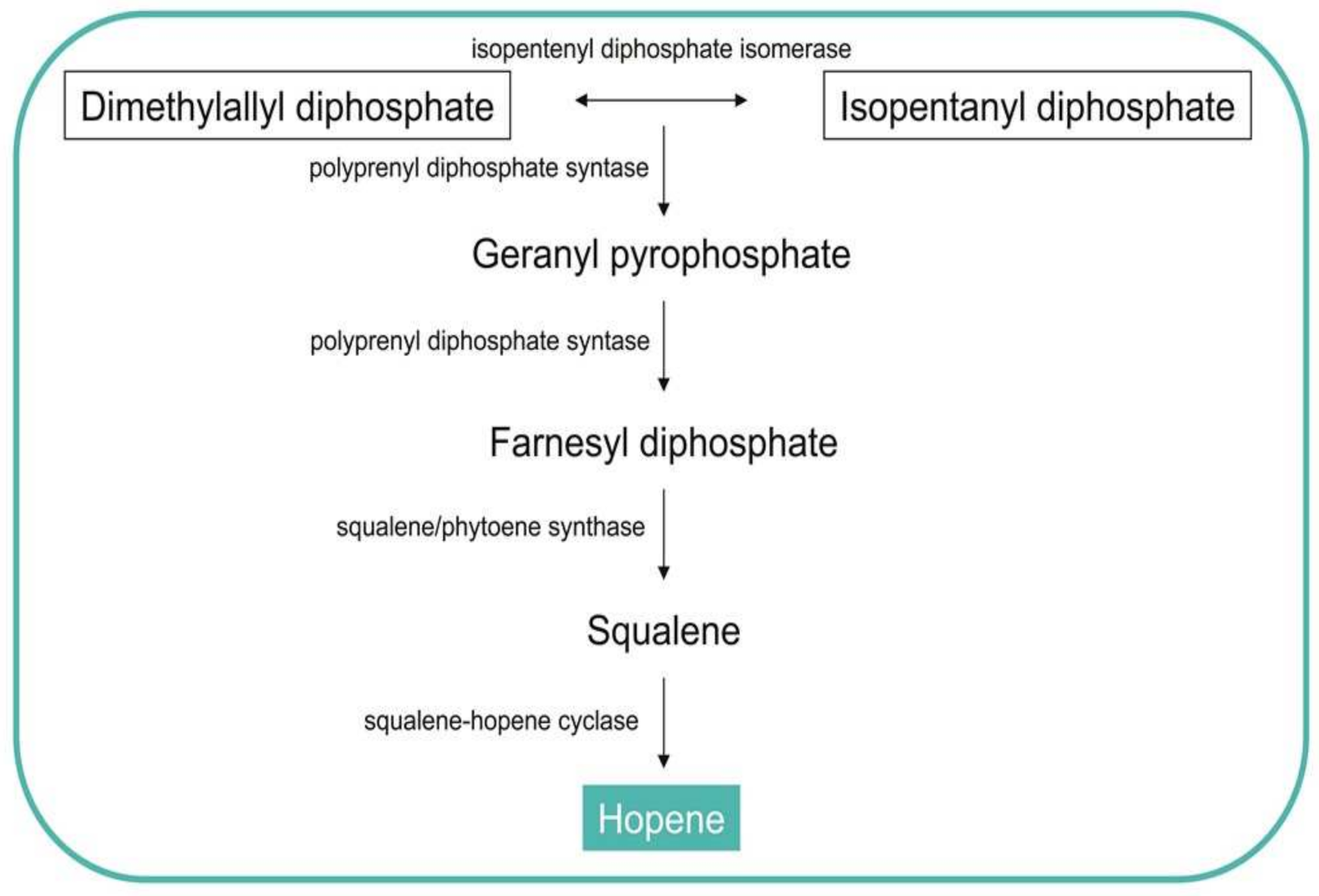 Biomolecules 11 01155 g004