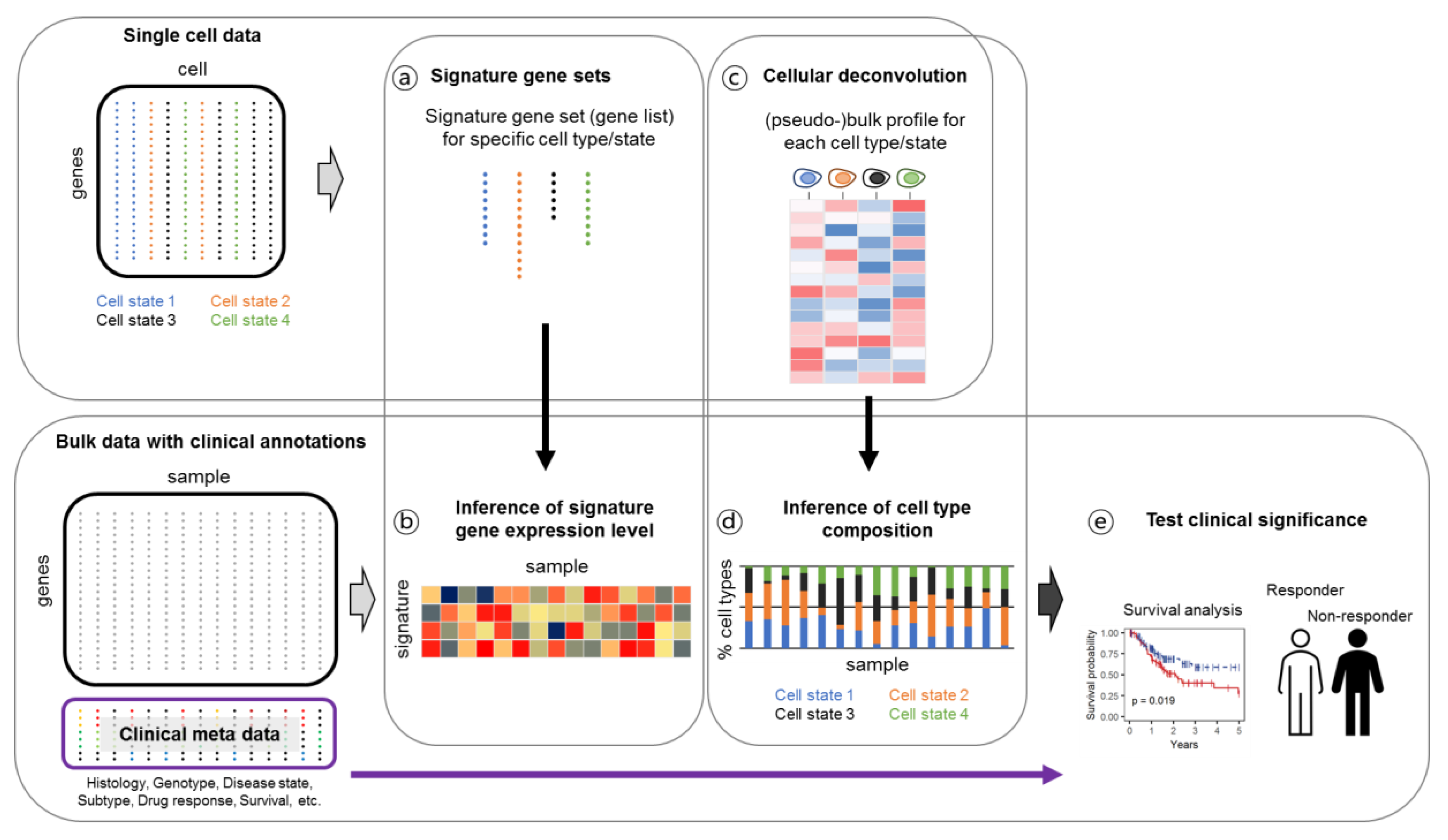 Single-cell and bulk transcriptome sequencing identifies two epithelial  tumor cell states and refines the consensus molecular classification of  colorectal cancer