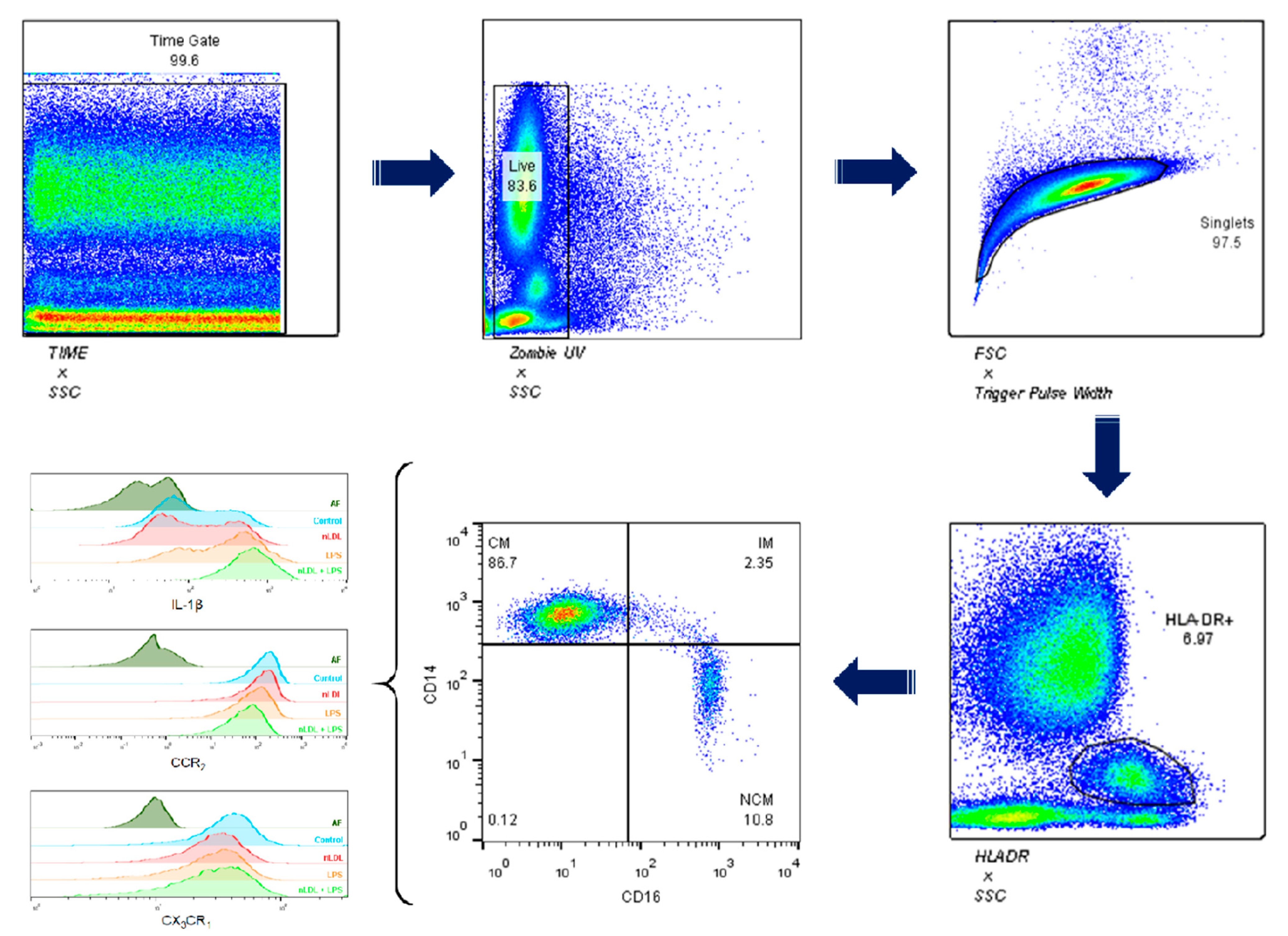 Biomolecules 11 01169 g001