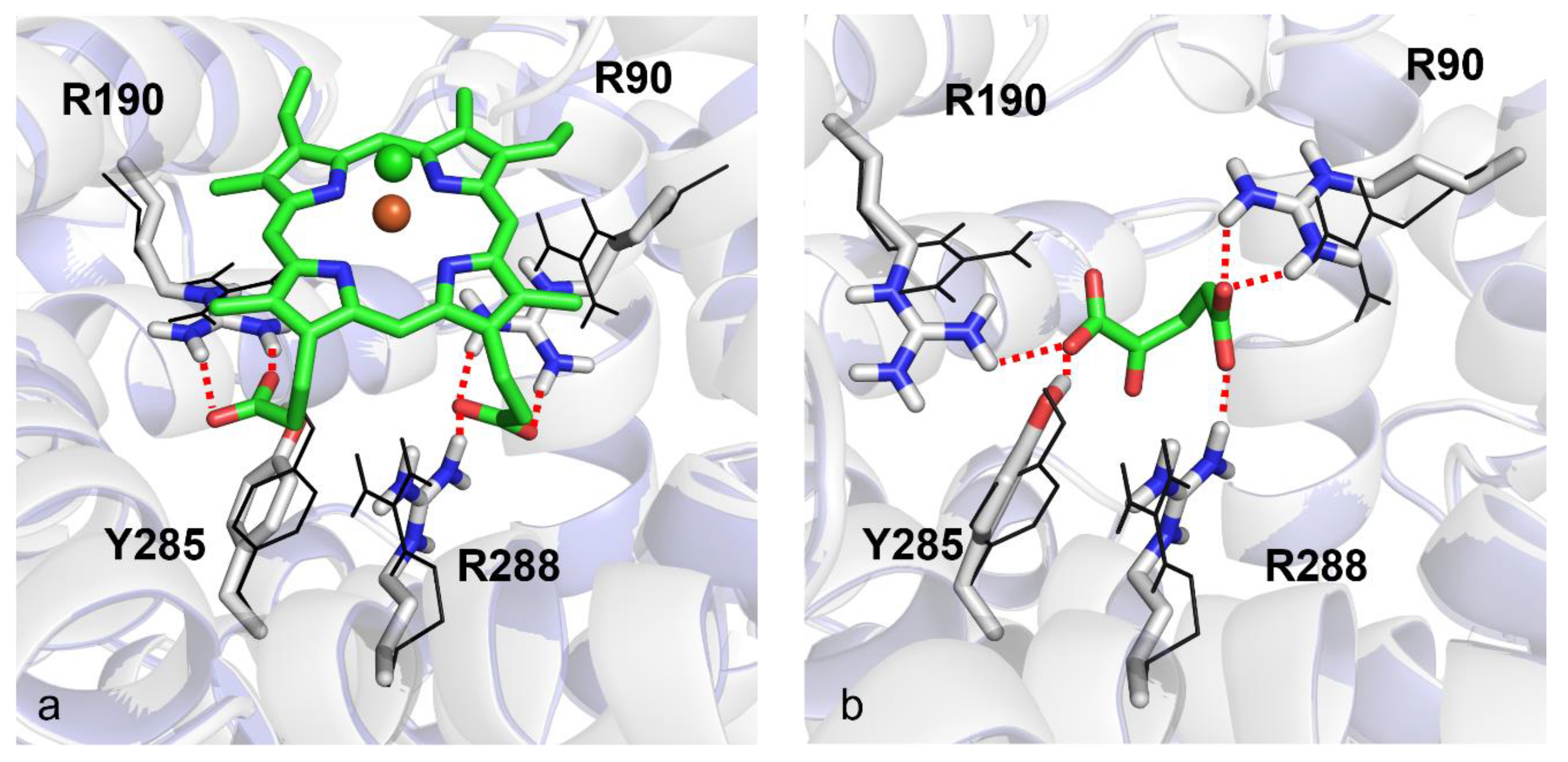 Biomolecules 11 01175 g008 Biomolecules 11 01175 g008