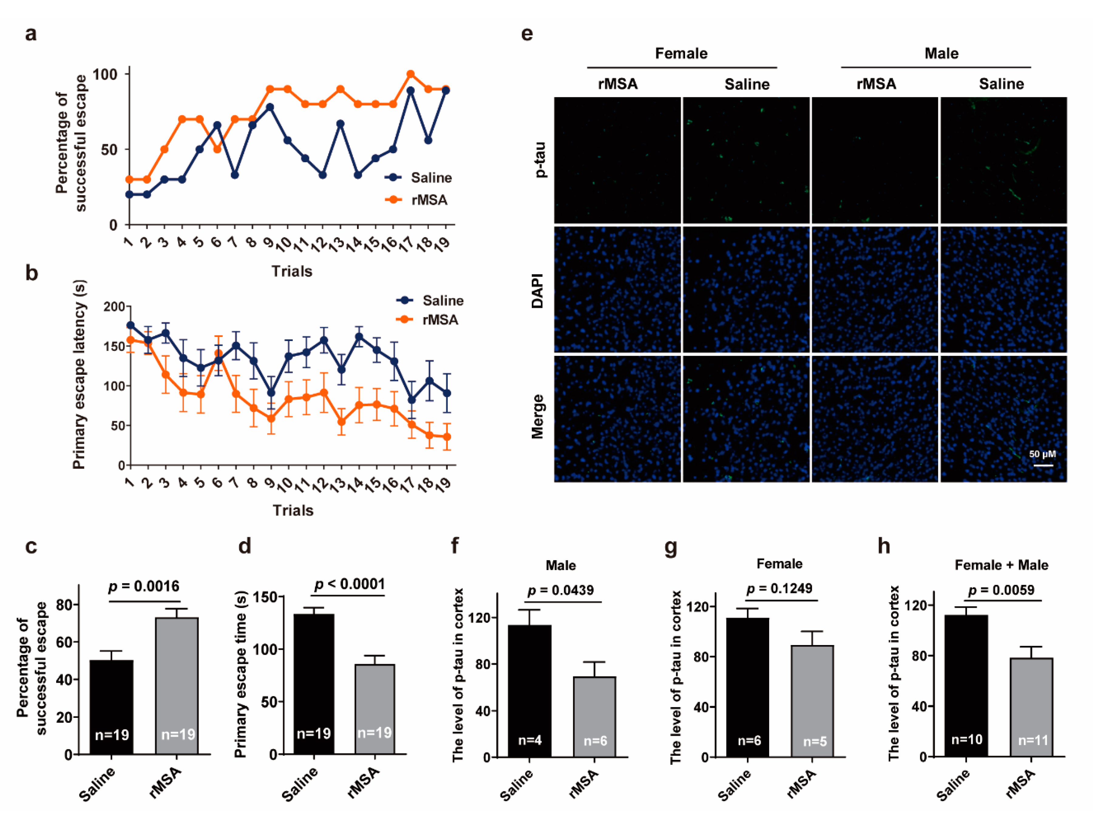 Biomolecules 11 01191 g003