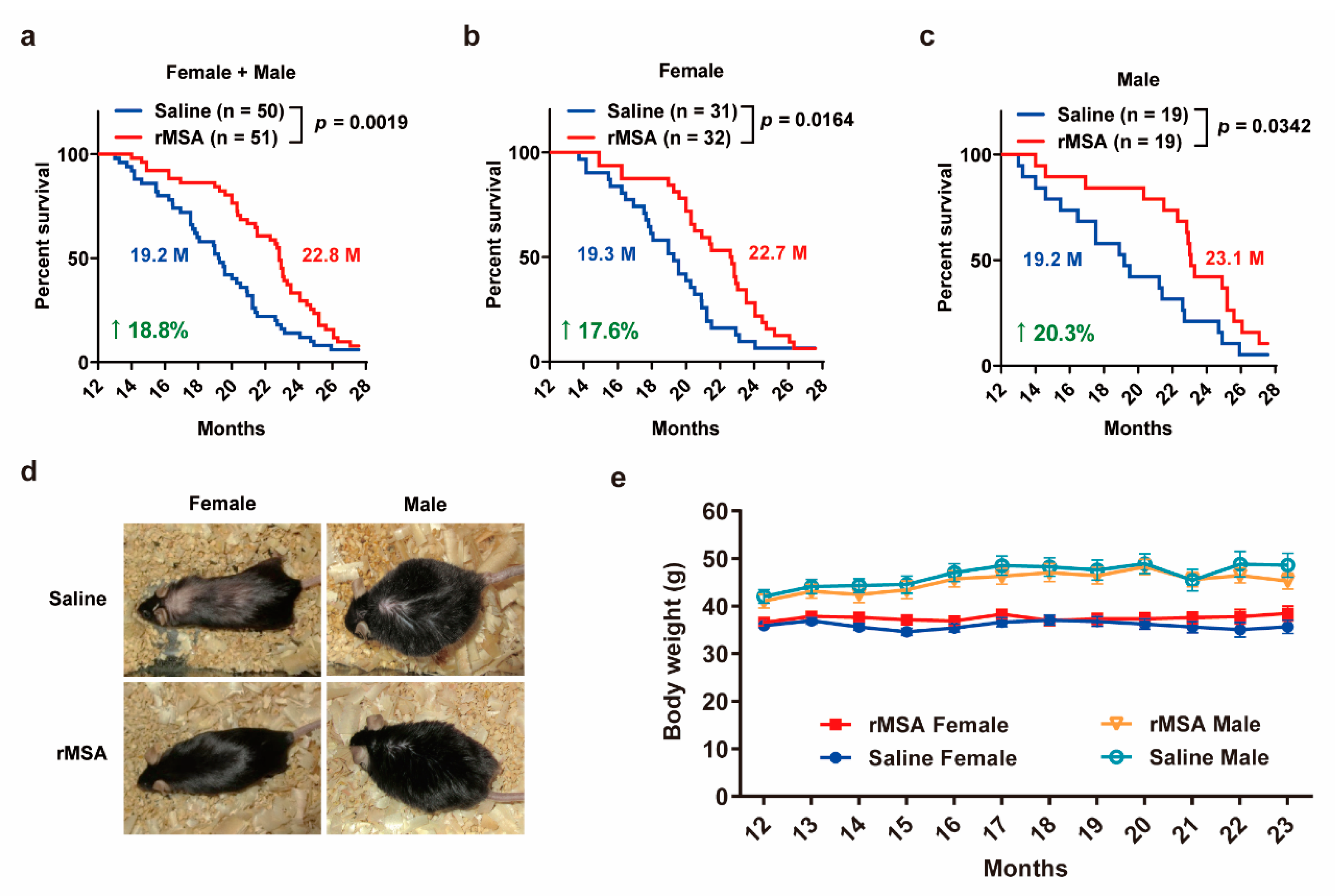 Biomolecules 11 01191 g004