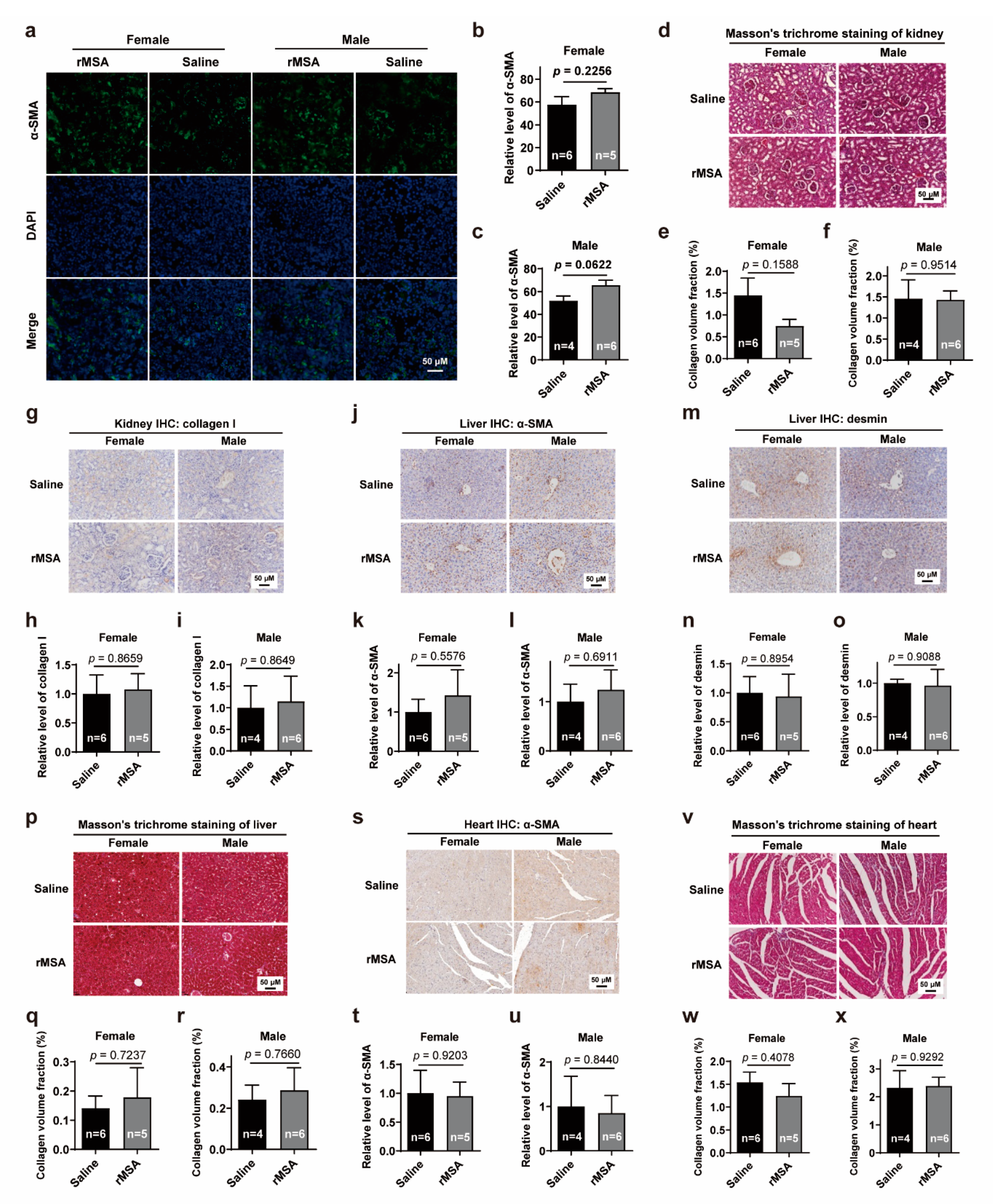 Biomolecules 11 01191 g005