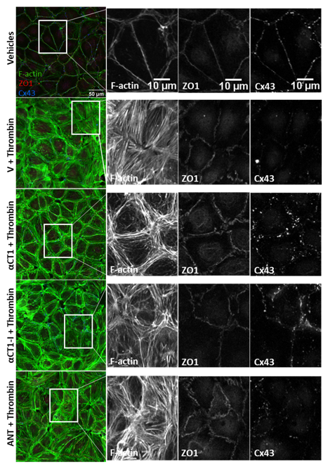Biomolecules 11 01192 g007