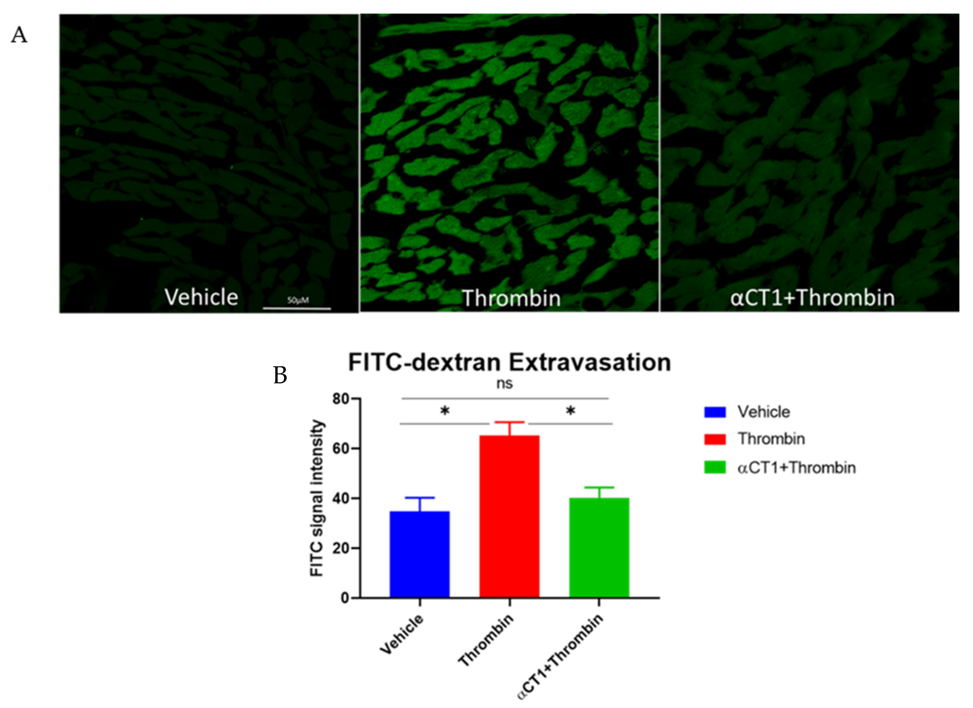 Biomolecules 11 01192 g010