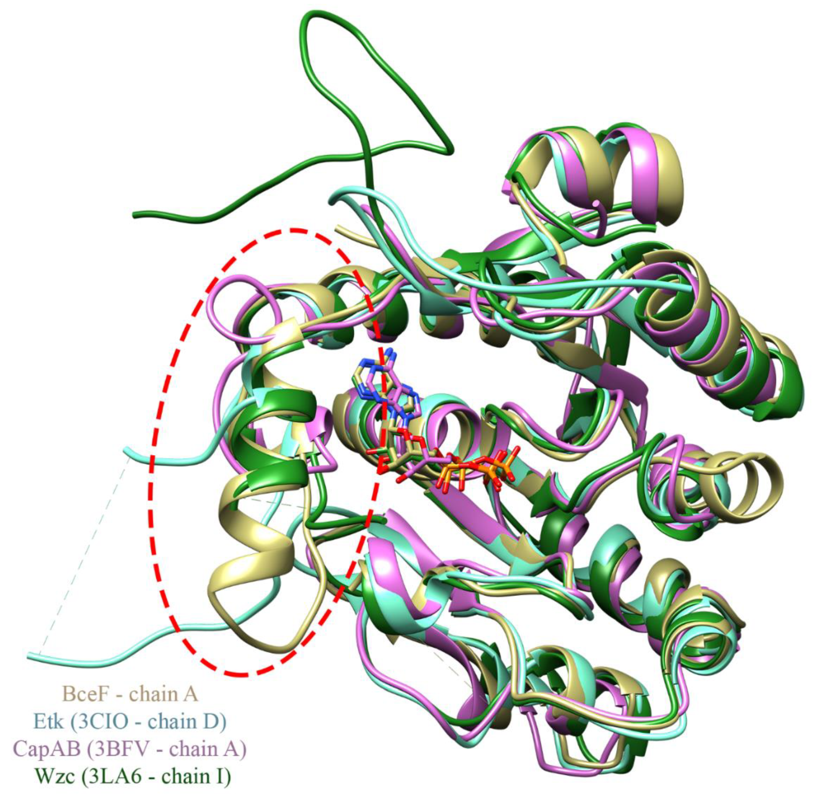 Biomolecules 11 01196 g003