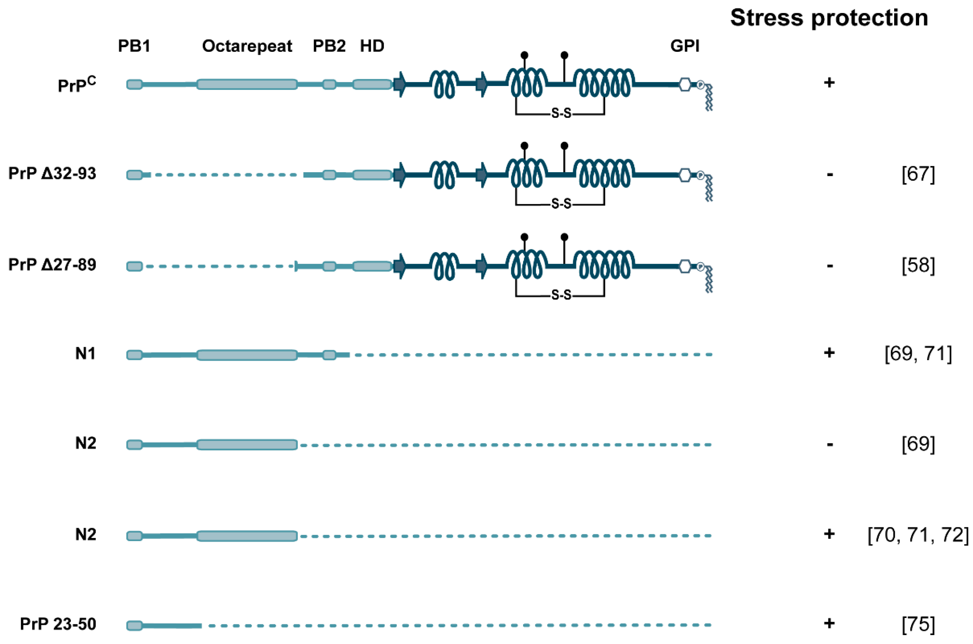 Biomolecules 11 01201 g004 Biomolecules 11 01201 g004
