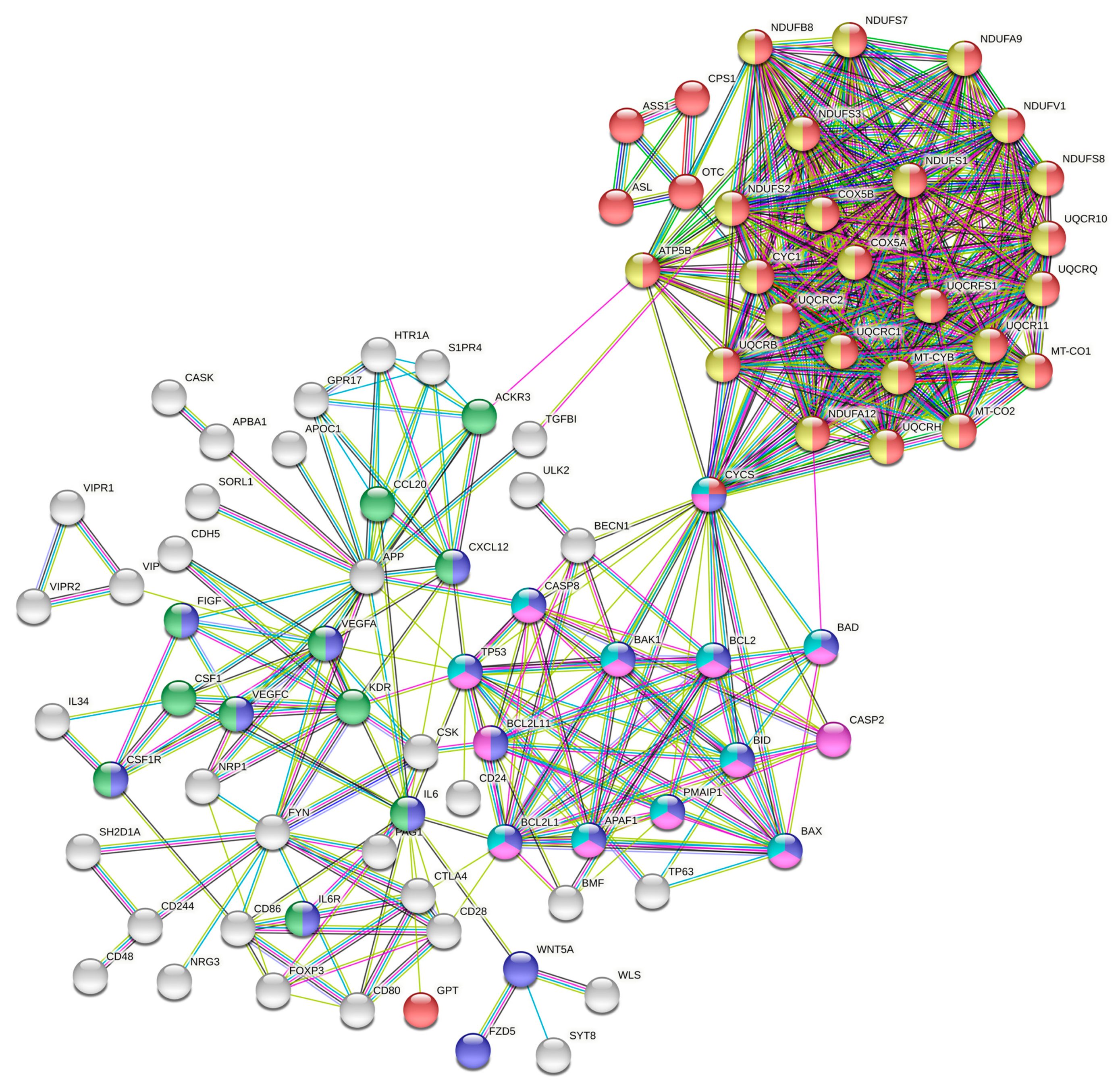 Biomolecules 11 01211 g002 Biomolecules 11 01211 g002