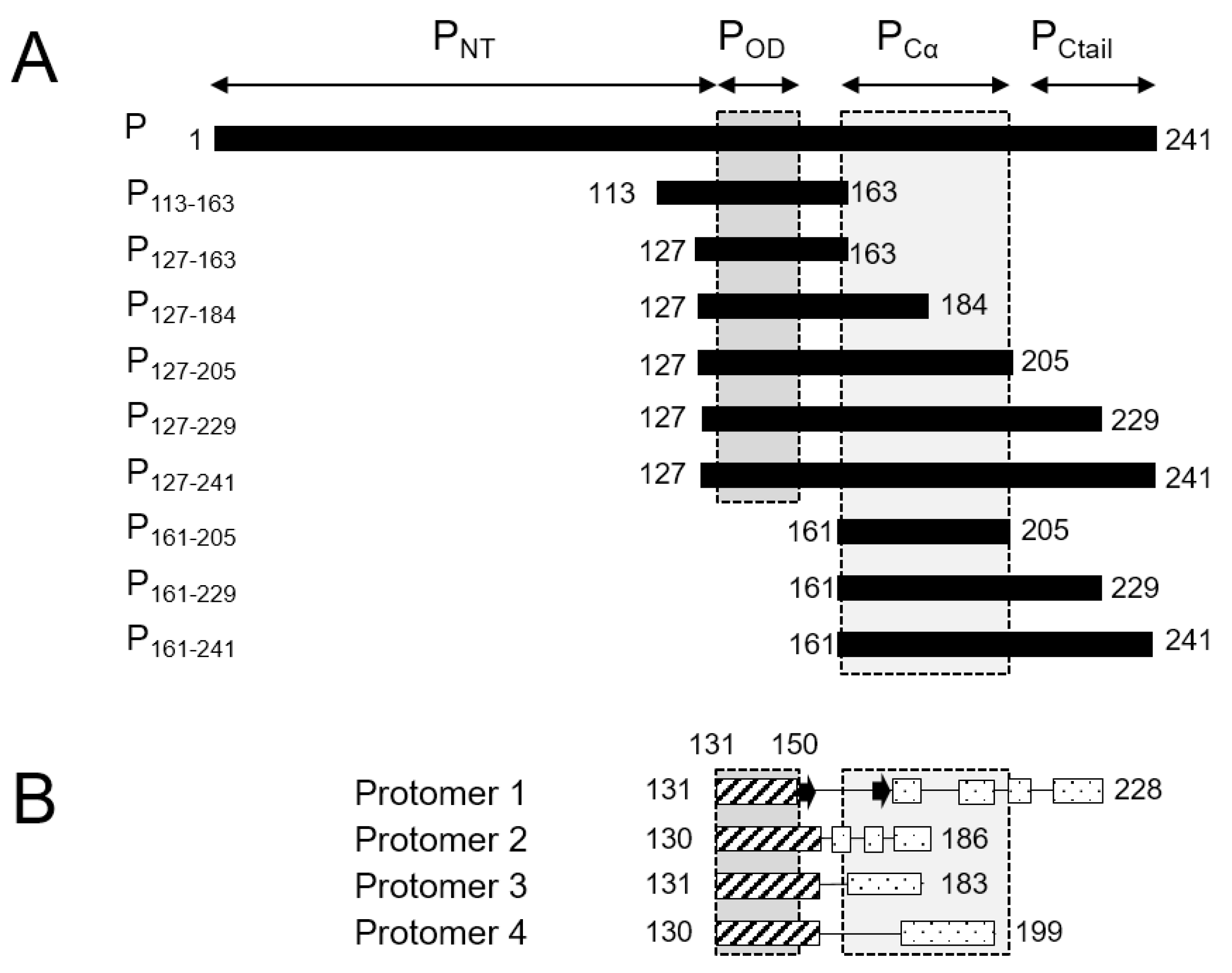 Biomolecules, Free Full-Text