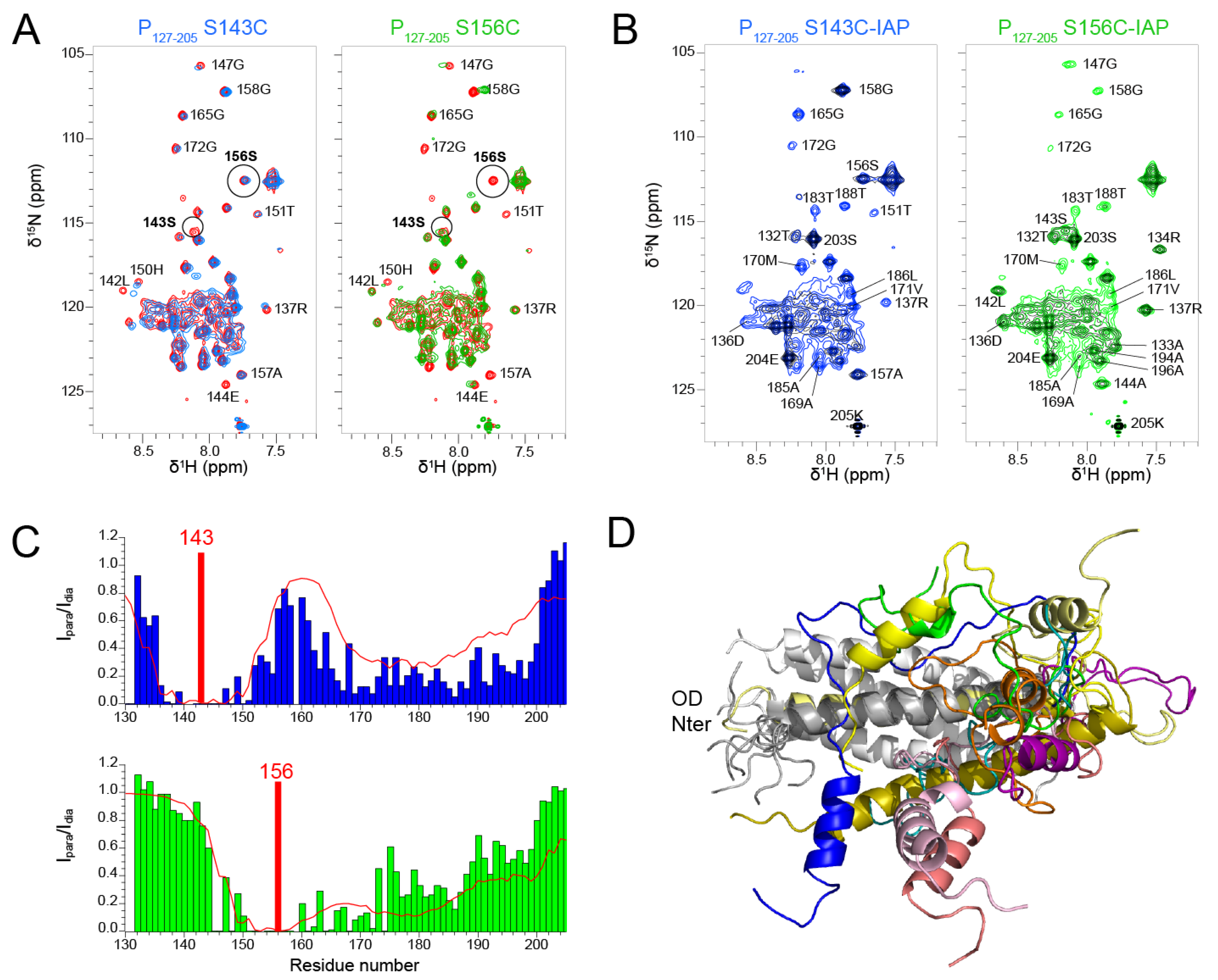 Biomolecules Free Full Text A Structural And Dynamic Analysis Of The Partially Disordered Polymerase Binding Domain In Rsv Phosphoprotein Html