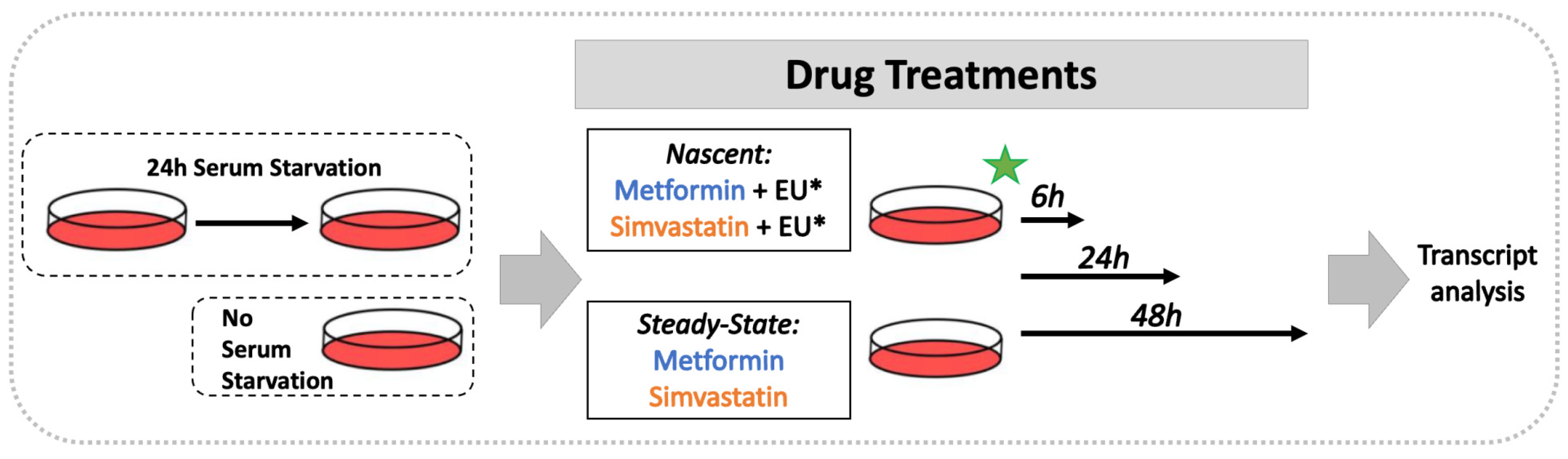 Biomolecules 11 01253 g001 Biomolecules 11 01253 g001