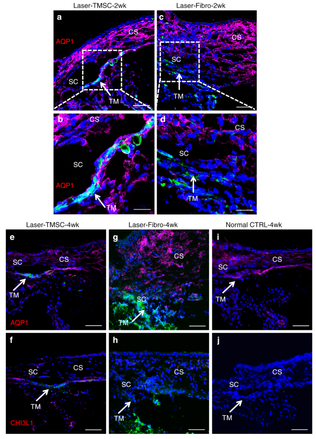 Biomolecules 11 01258 g001 Biomolecules 11 01258 g001