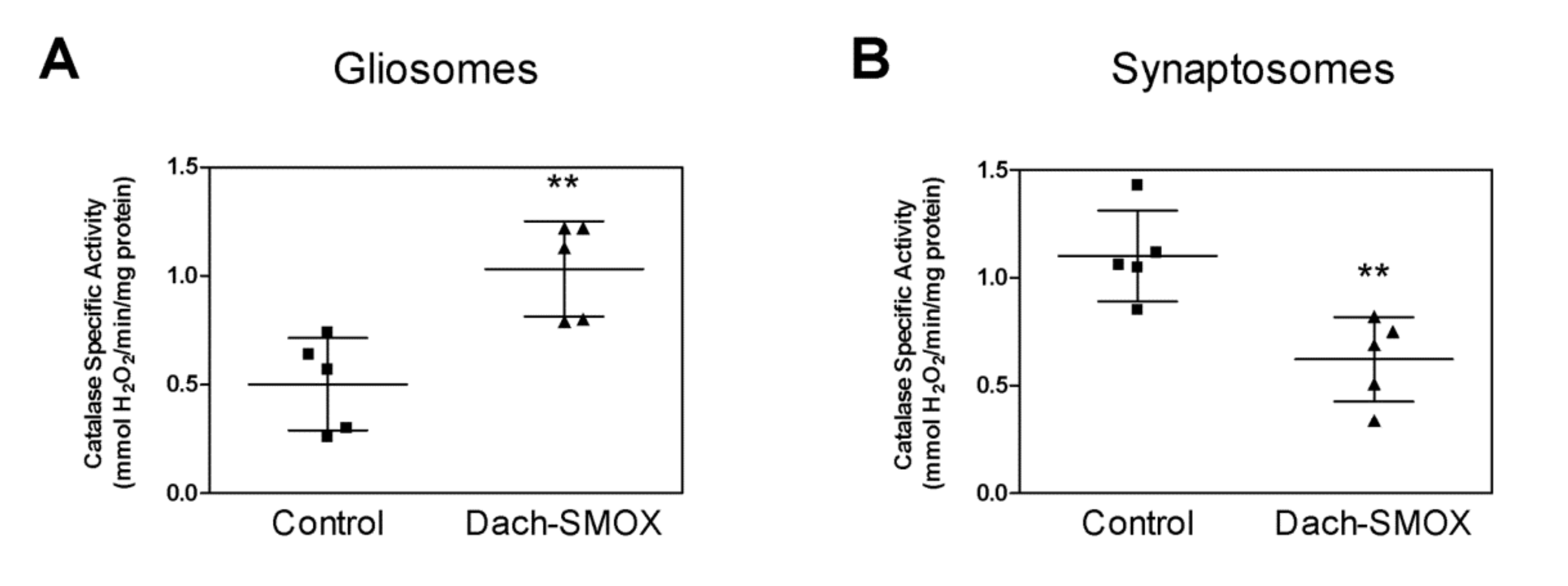 Biomolecules 11 01274 g005