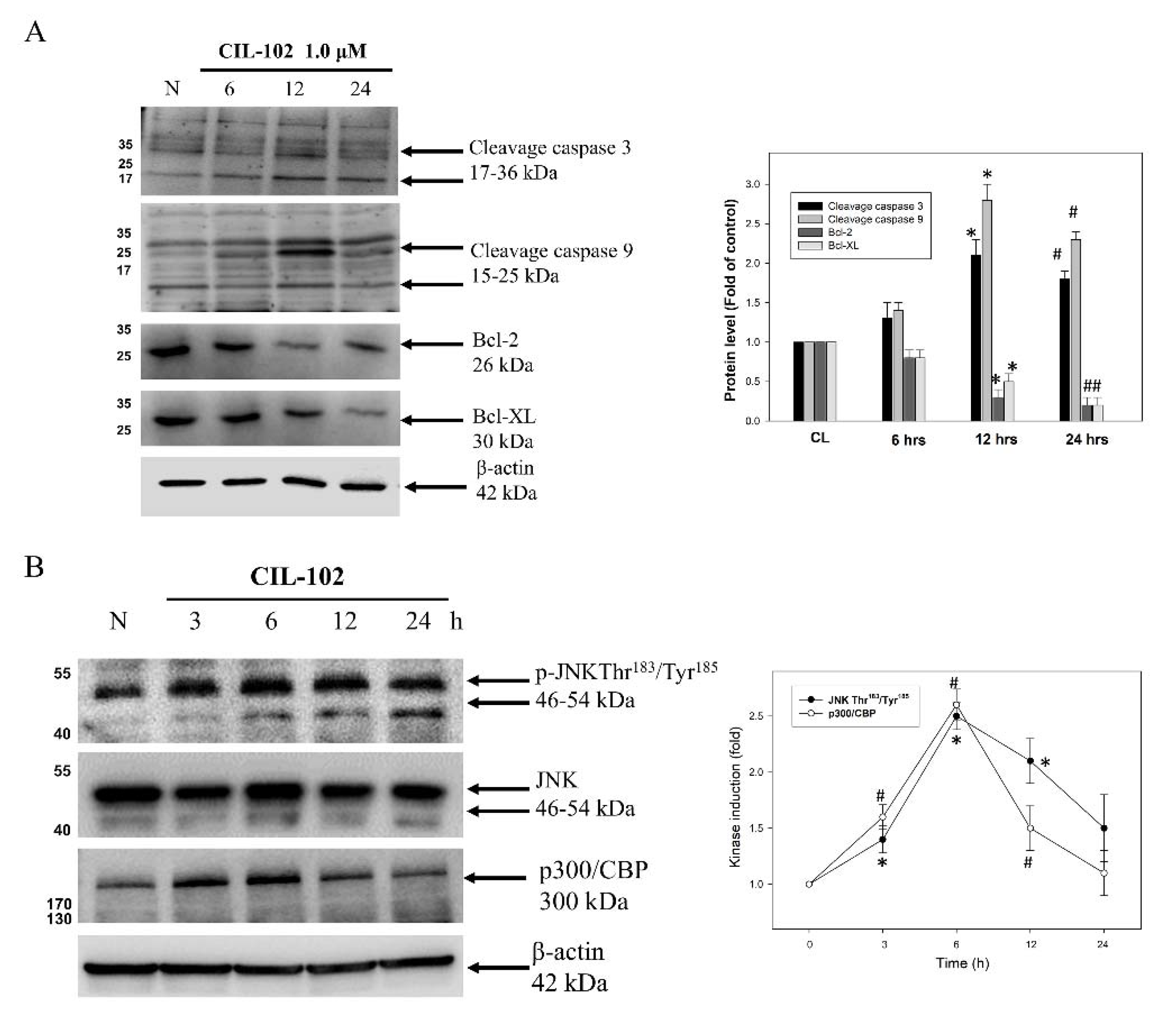 Biomolecules 11 01280 g003