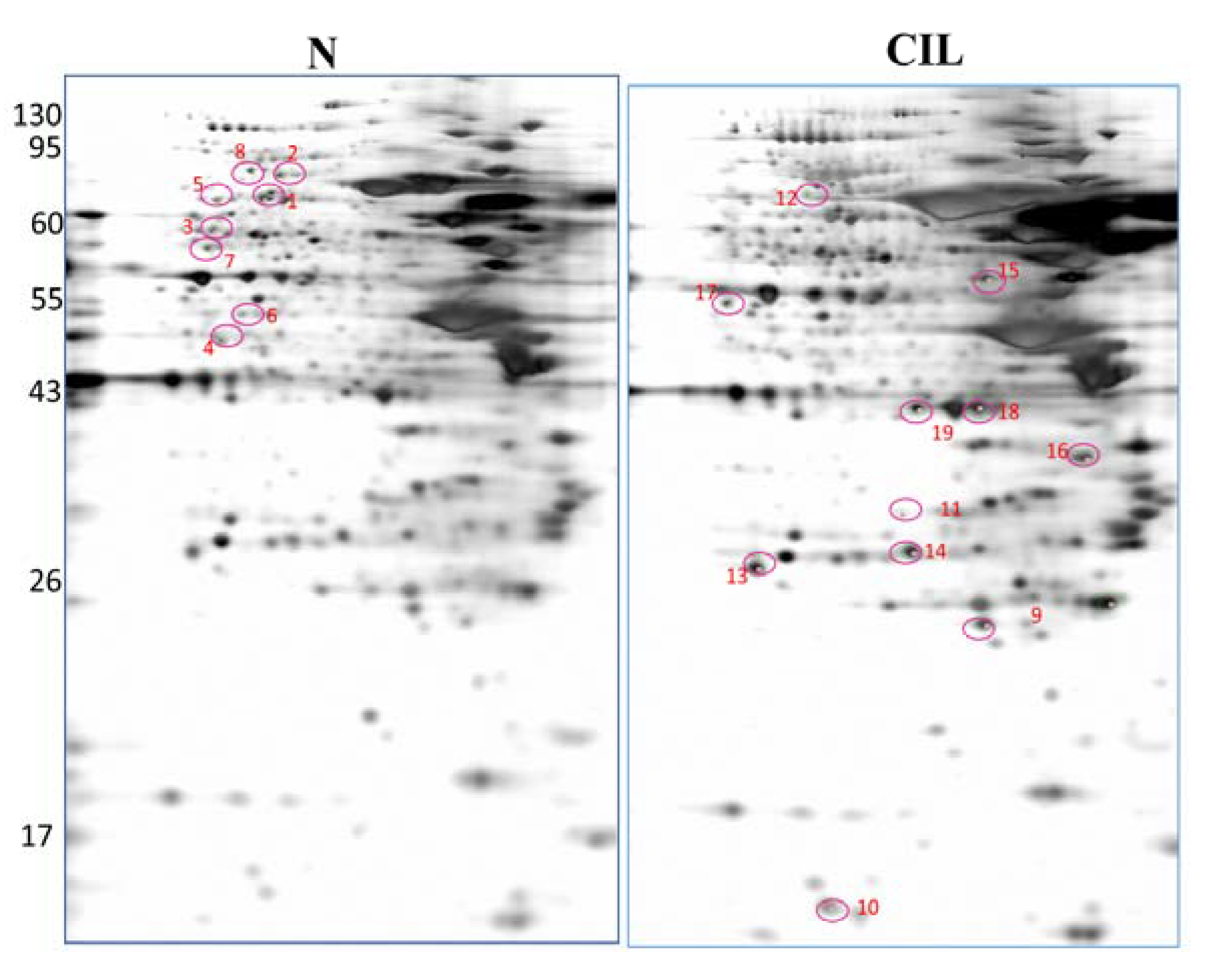 Biomolecules 11 01280 g004