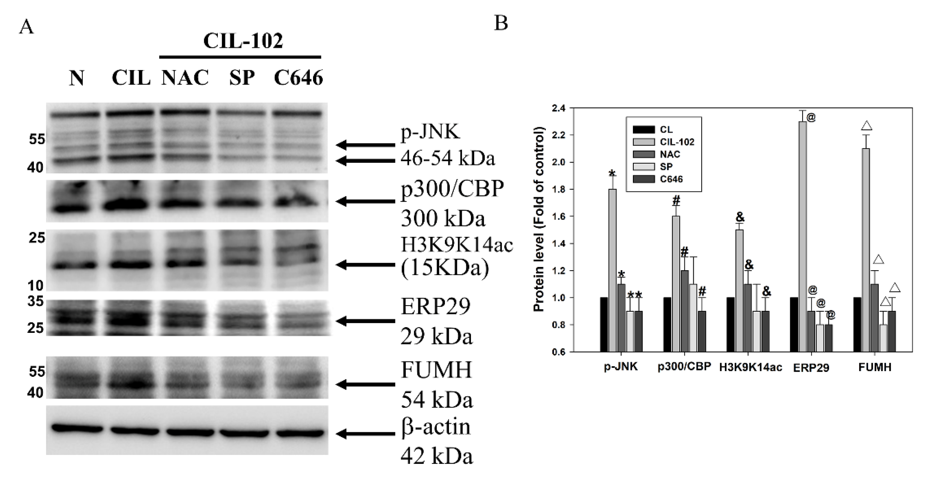 Biomolecules 11 01280 g006