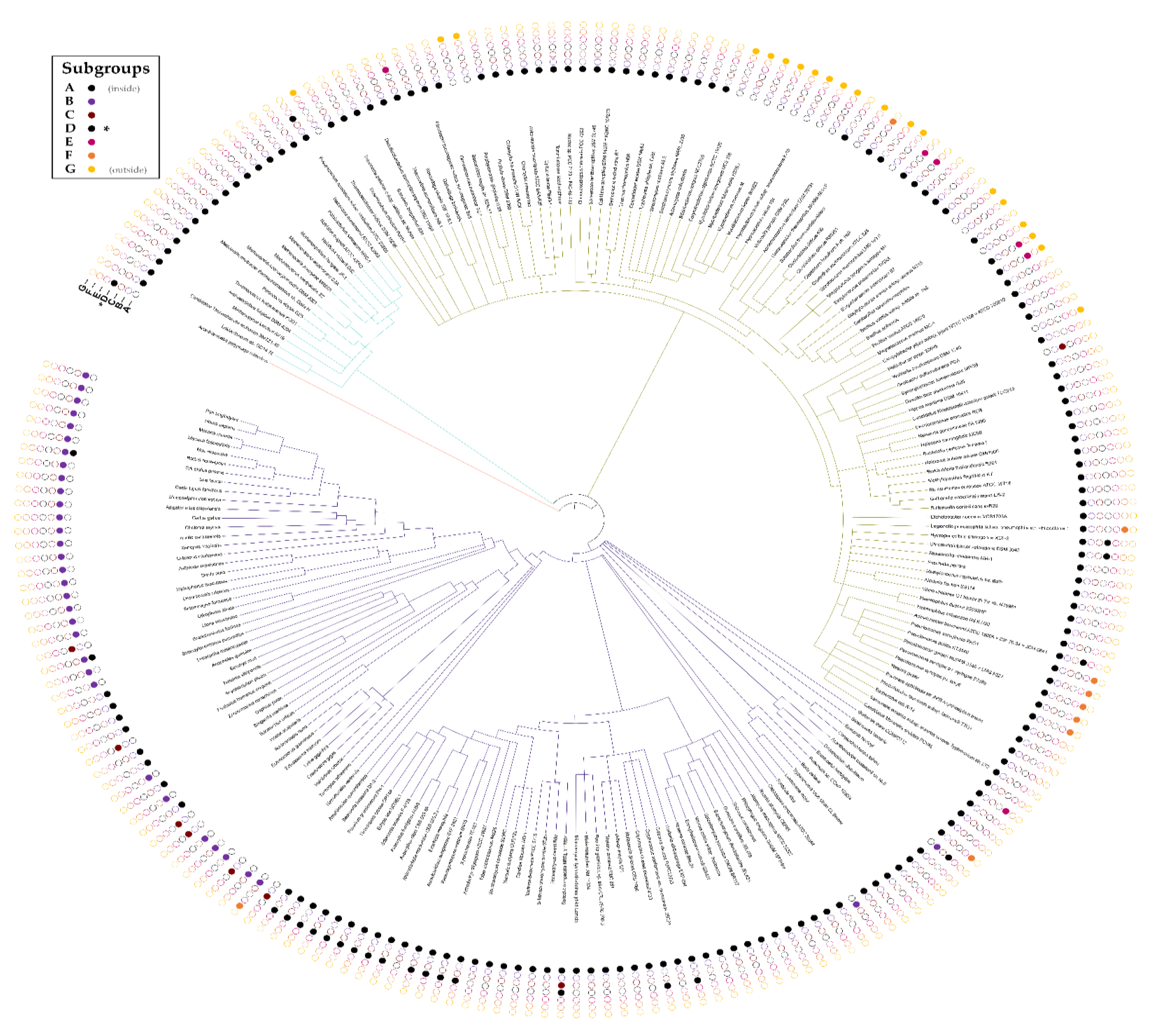 Biomolecules 11 01282 g005