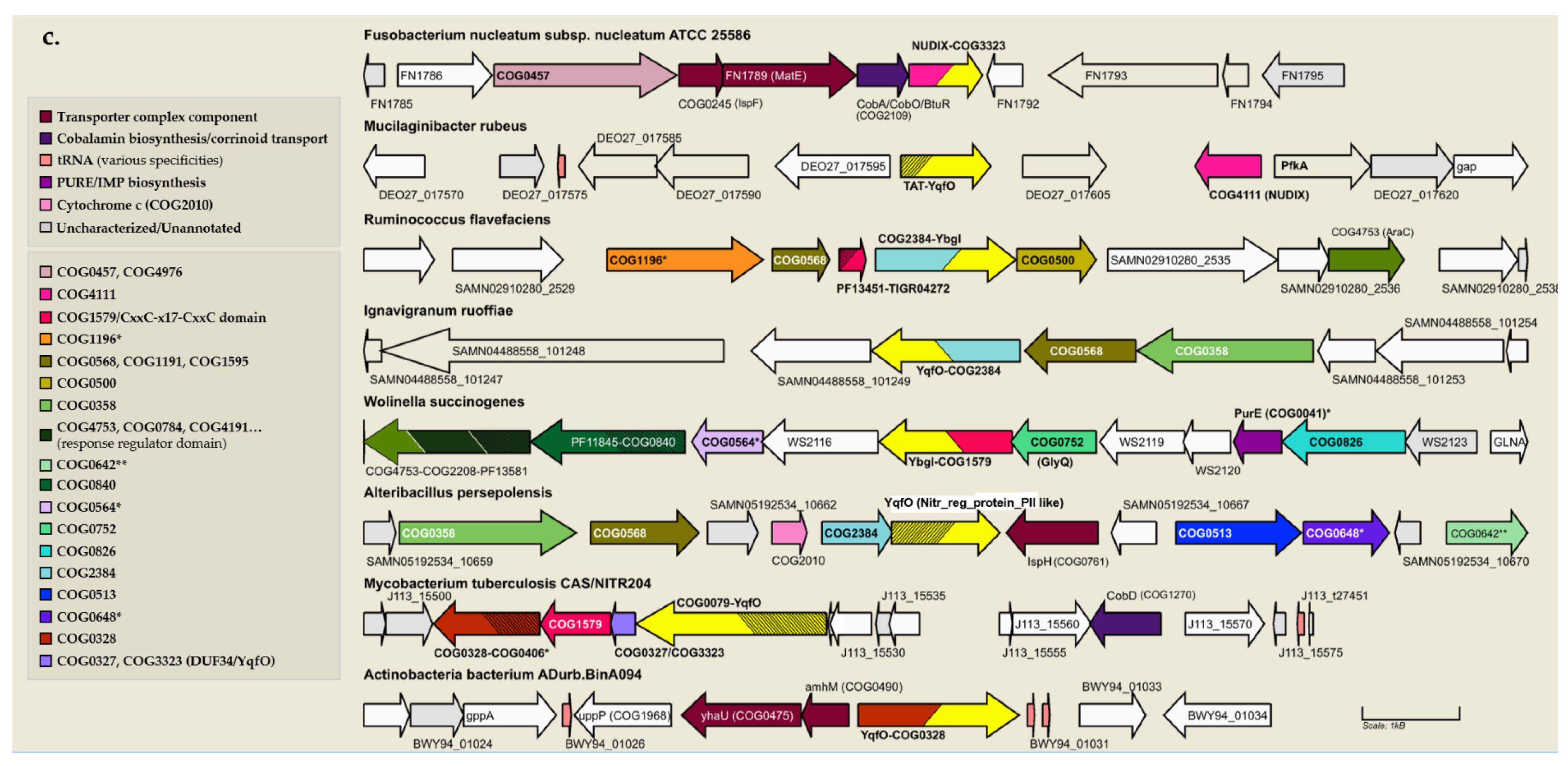 Biomolecules 11 01282 g007b
