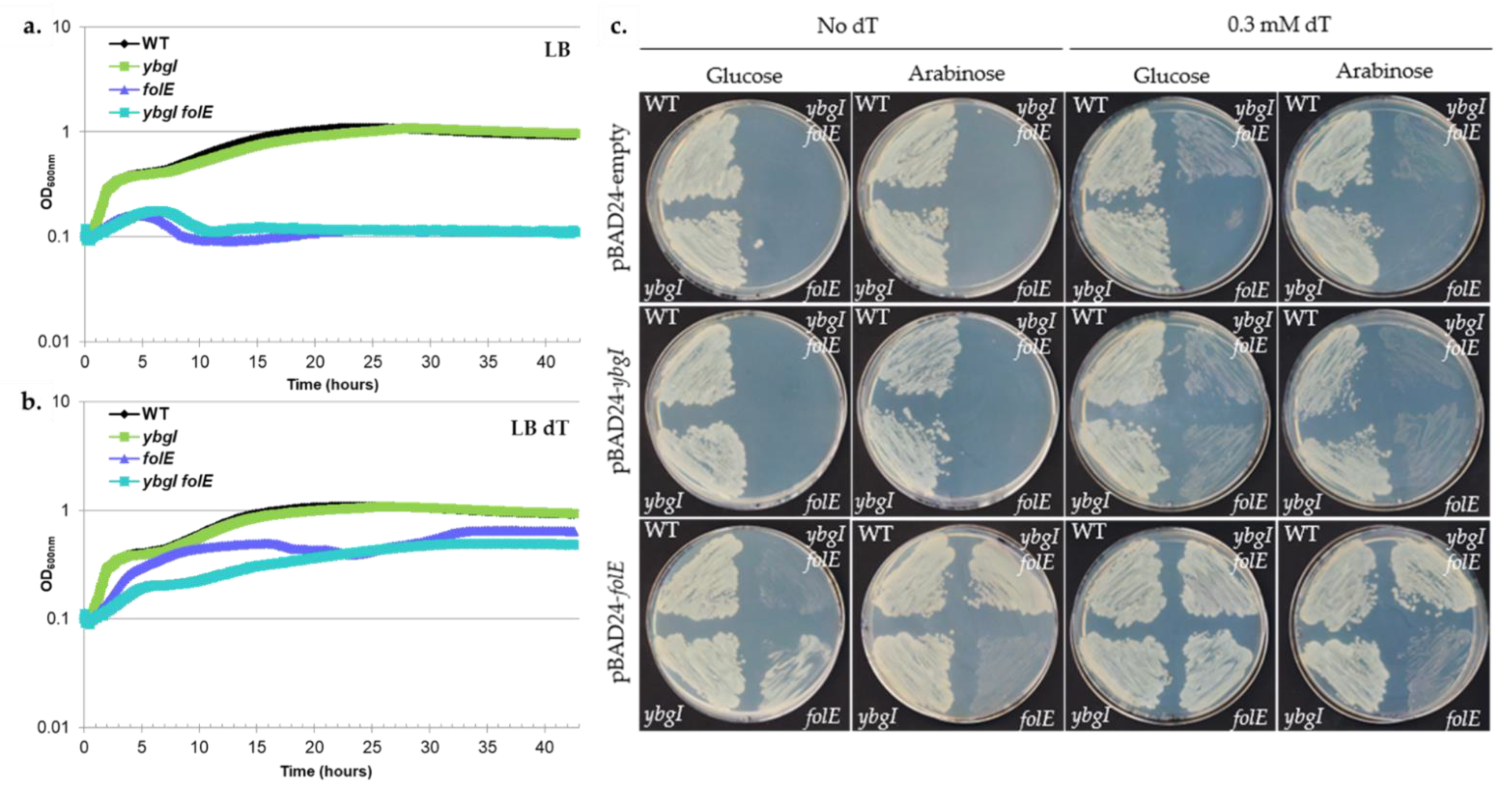 Biomolecules 11 01282 g008